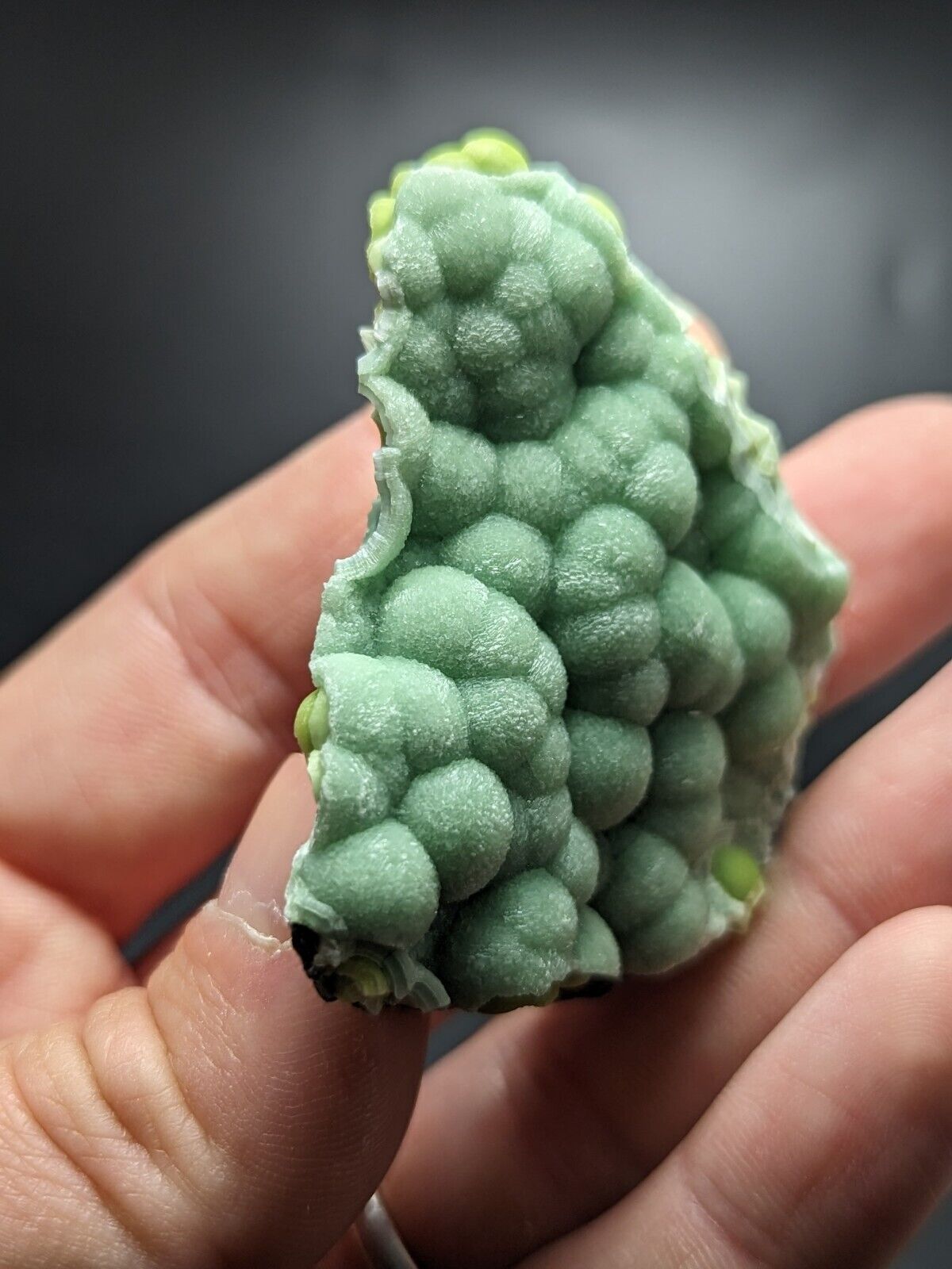 Wavellite - Fantastic Old Stock - Mauldin Mountain Arkansas ooak - Collectibles:Rocks Fossils & Minerals:Crystals