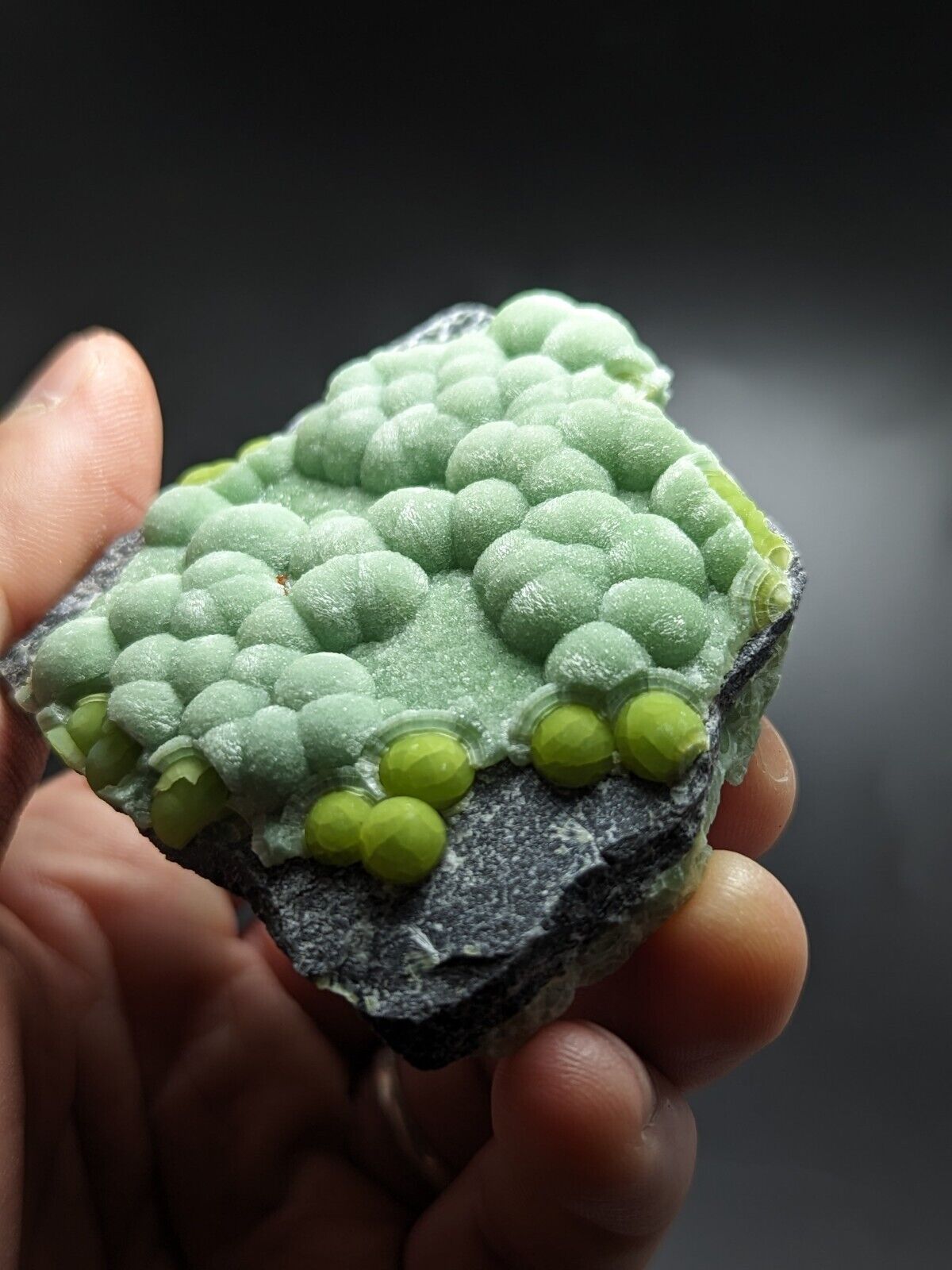 Wavellite - Fantastic Old Stock - Mauldin Mountain Arkansas ooak - Collectibles:Rocks Fossils & Minerals:Crystals