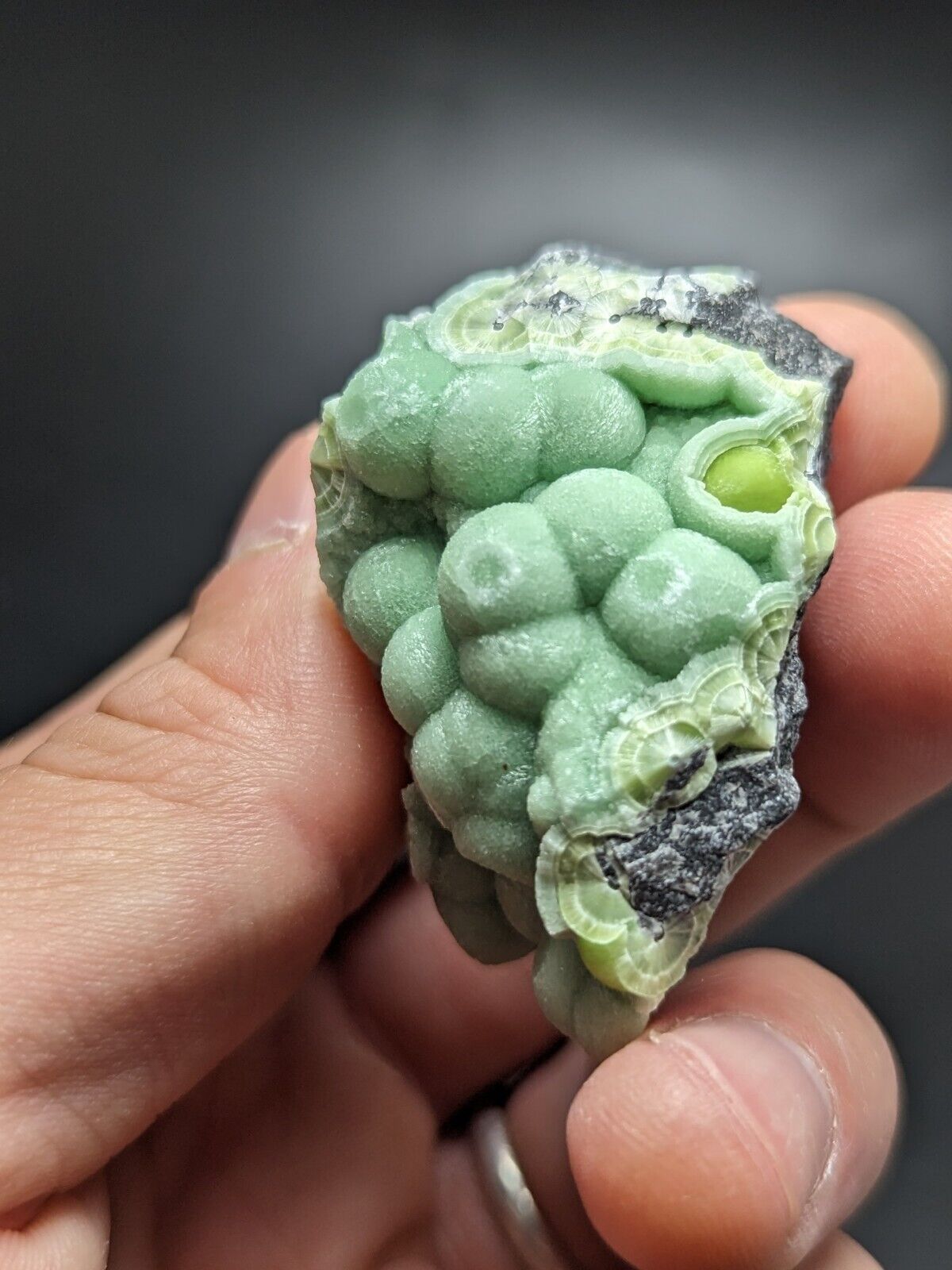 Wavellite - Fantastic Old Stock - Mauldin Mountain Arkansas ooak - Collectibles:Rocks Fossils & Minerals:Crystals
