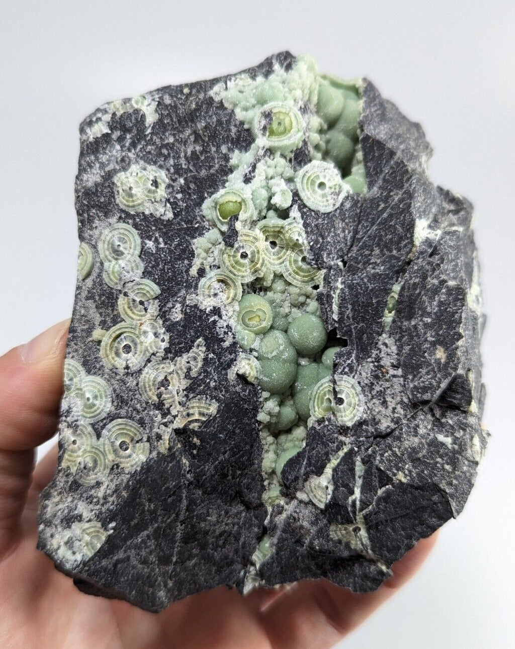Wavellite - Fantastic Old Stock - Mauldin Mountain Arkansas ooak - Collectibles:Rocks Fossils & Minerals:Crystals