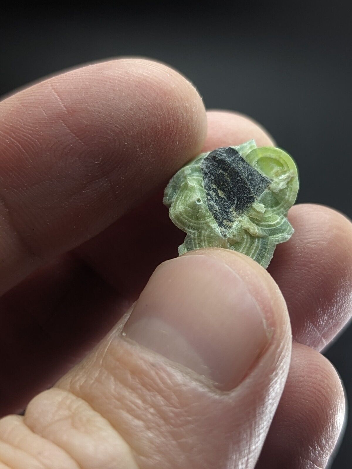 Wavellite - Fantastic Old Stock - Mauldin Mountain Arkansas ooak - Collectibles:Rocks Fossils & Minerals:Crystals