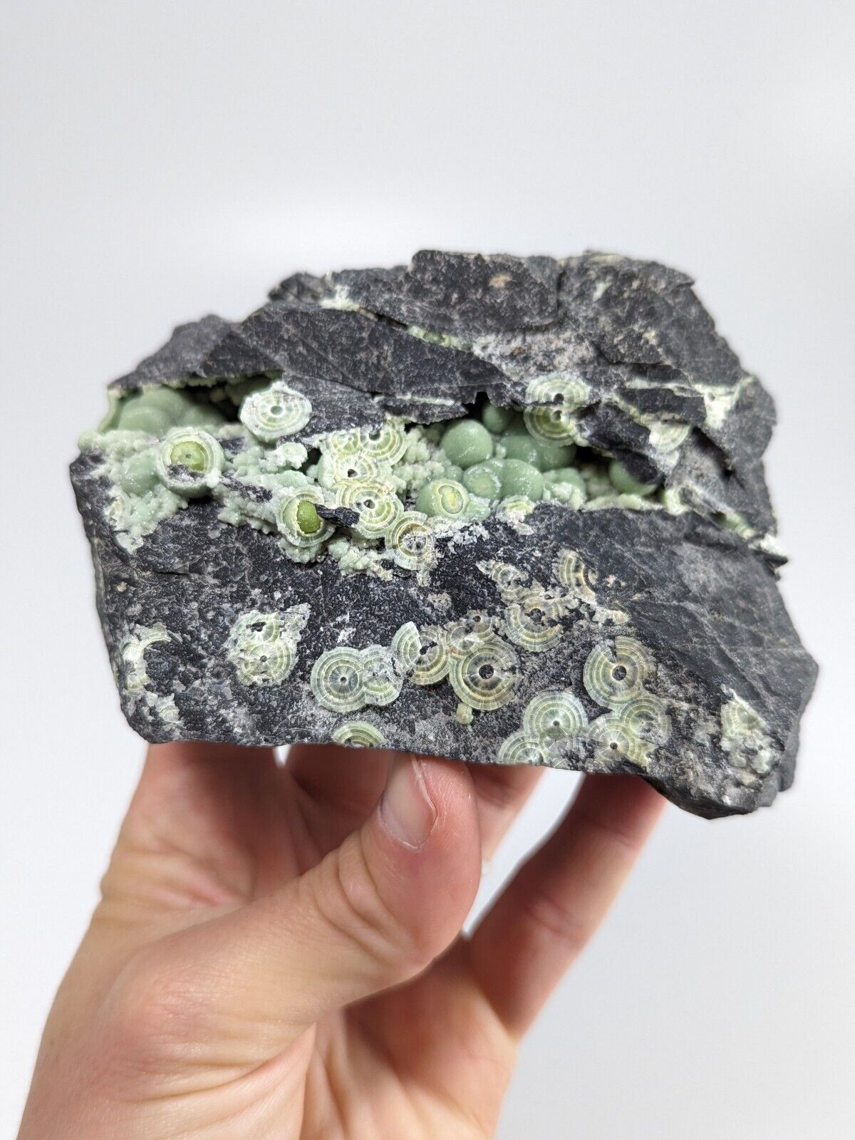 Wavellite - Fantastic Old Stock - Mauldin Mountain Arkansas ooak - Collectibles:Rocks Fossils & Minerals:Crystals