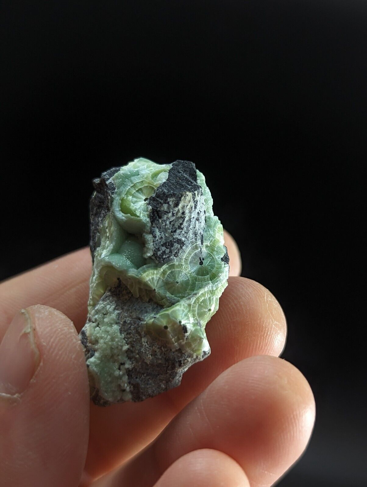 Wavellite - Fantastic Old Stock - Mauldin Mountain Arkansas ooak - Collectibles:Rocks Fossils & Minerals:Crystals