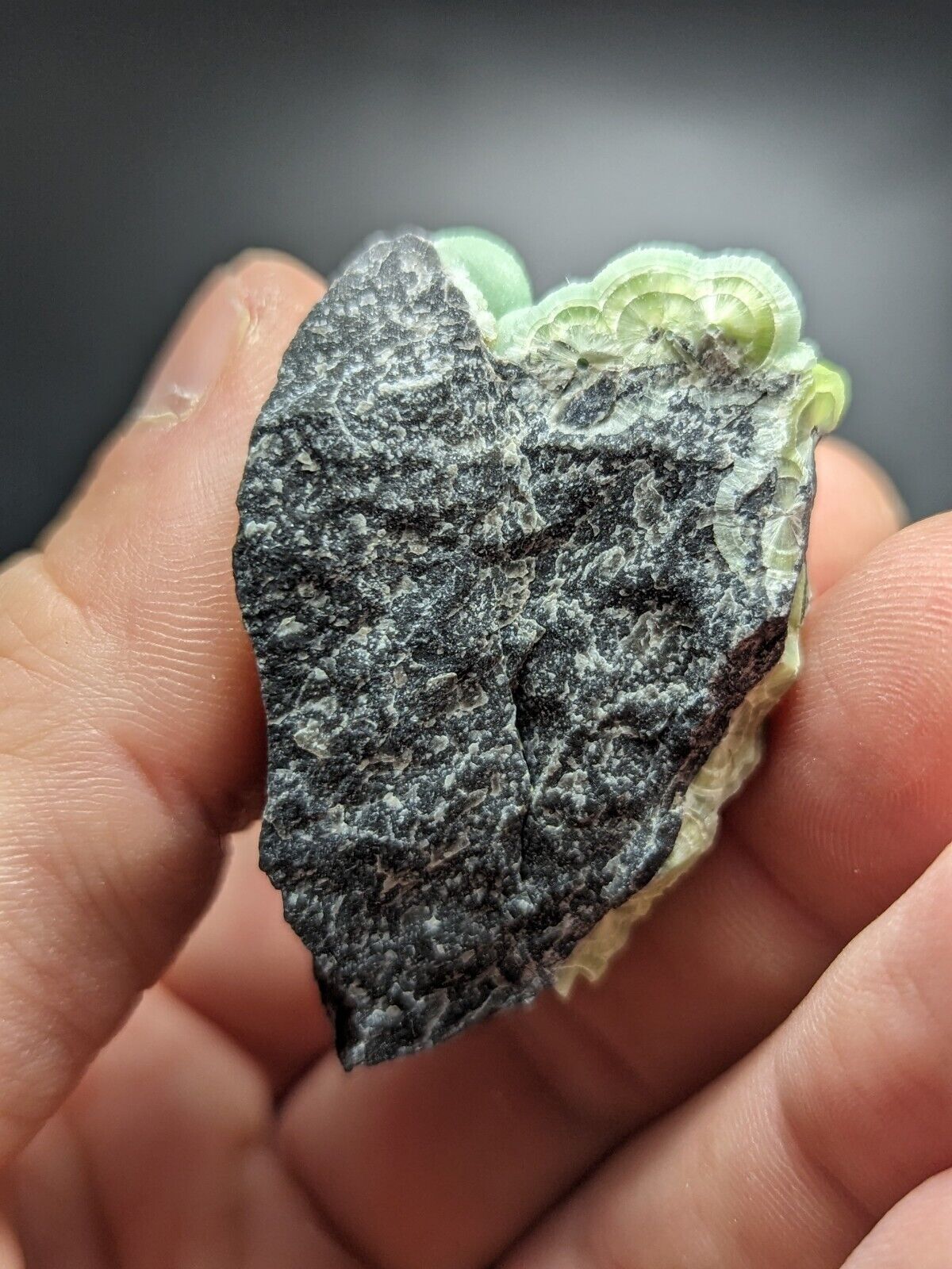 Wavellite - Fantastic Old Stock - Mauldin Mountain Arkansas ooak - Collectibles:Rocks Fossils & Minerals:Crystals