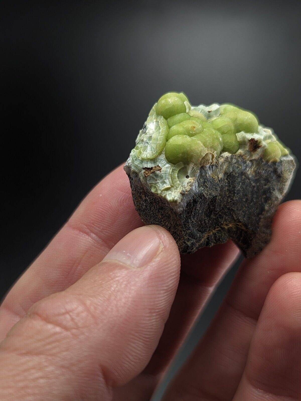 Wavellite - Fantastic Old Stock - Mauldin Mountain Arkansas ooak - Collectibles:Rocks Fossils & Minerals:Crystals