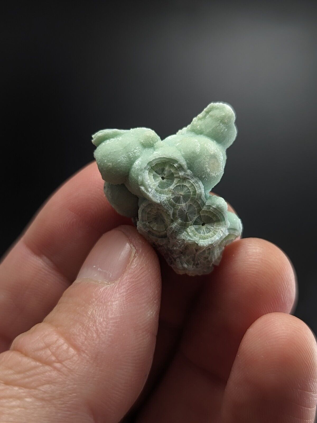 Wavellite - Fantastic Old Stock - Mauldin Mountain Arkansas ooak - Collectibles:Rocks Fossils & Minerals:Crystals