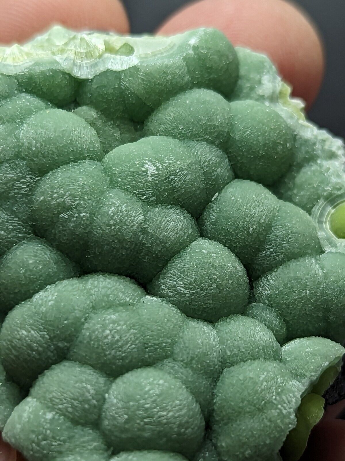 Wavellite - Fantastic Old Stock - Mauldin Mountain Arkansas ooak - Collectibles:Rocks Fossils & Minerals:Crystals