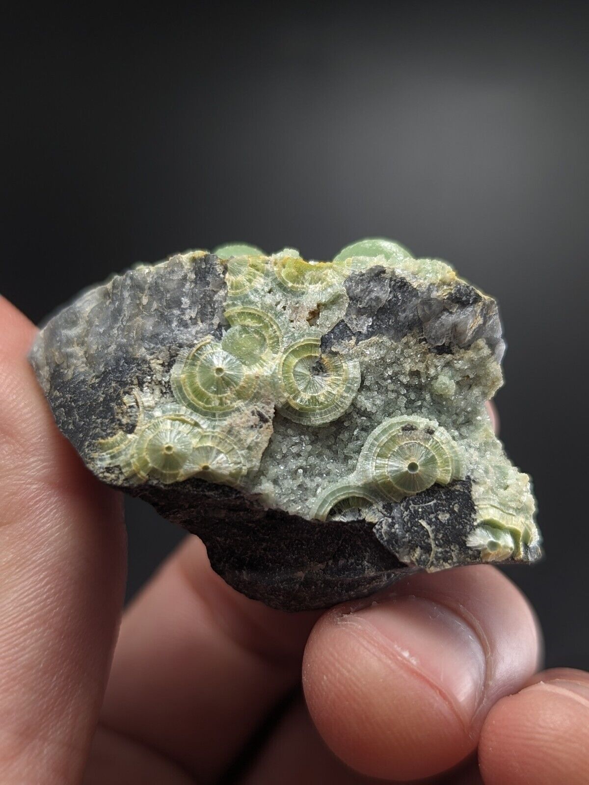 Wavellite - Fantastic Old Stock - Mauldin Mountain Arkansas ooak - Collectibles:Rocks Fossils & Minerals:Crystals