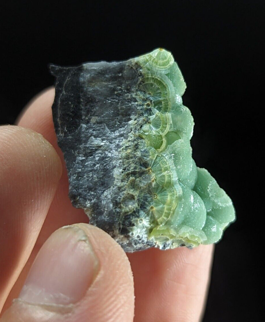 Wavellite - Fantastic Old Stock - Mauldin Mountain Arkansas ooak - Collectibles:Rocks Fossils & Minerals:Crystals