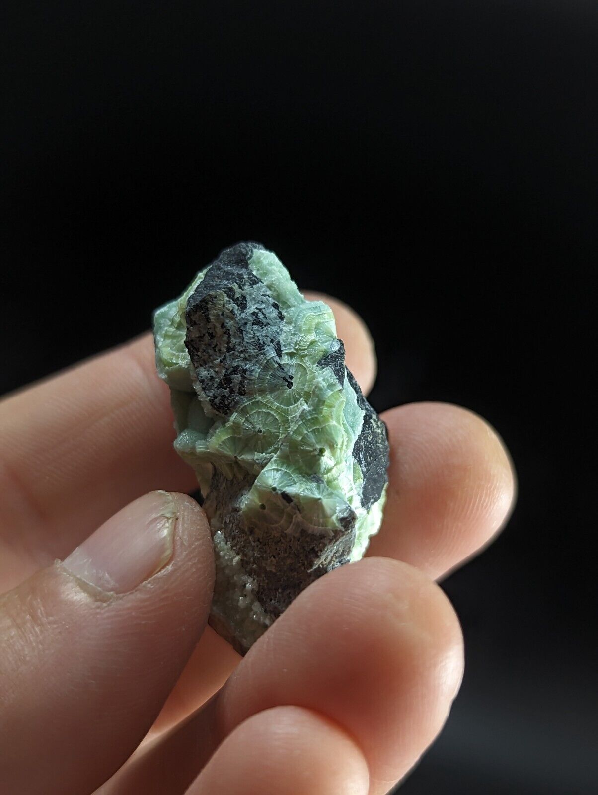 Wavellite - Fantastic Old Stock - Mauldin Mountain Arkansas ooak - Collectibles:Rocks Fossils & Minerals:Crystals