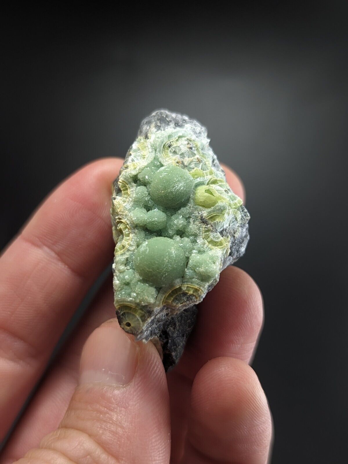 Wavellite - Fantastic Old Stock - Mauldin Mountain Arkansas ooak - Collectibles:Rocks Fossils & Minerals:Crystals