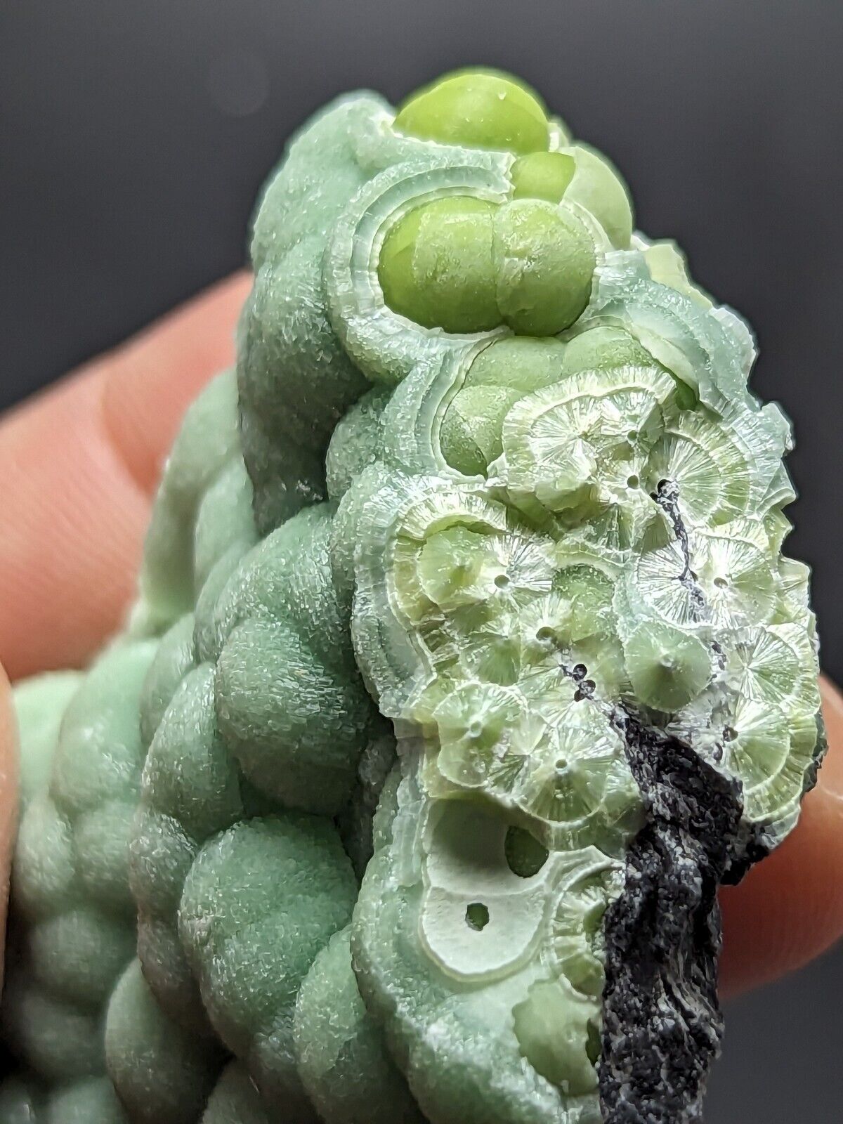 Wavellite - Fantastic Old Stock - Mauldin Mountain Arkansas ooak - Collectibles:Rocks Fossils & Minerals:Crystals