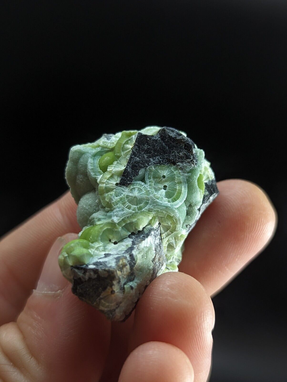 Wavellite - Fantastic Old Stock - Mauldin Mountain Arkansas ooak - Collectibles:Rocks Fossils & Minerals:Crystals