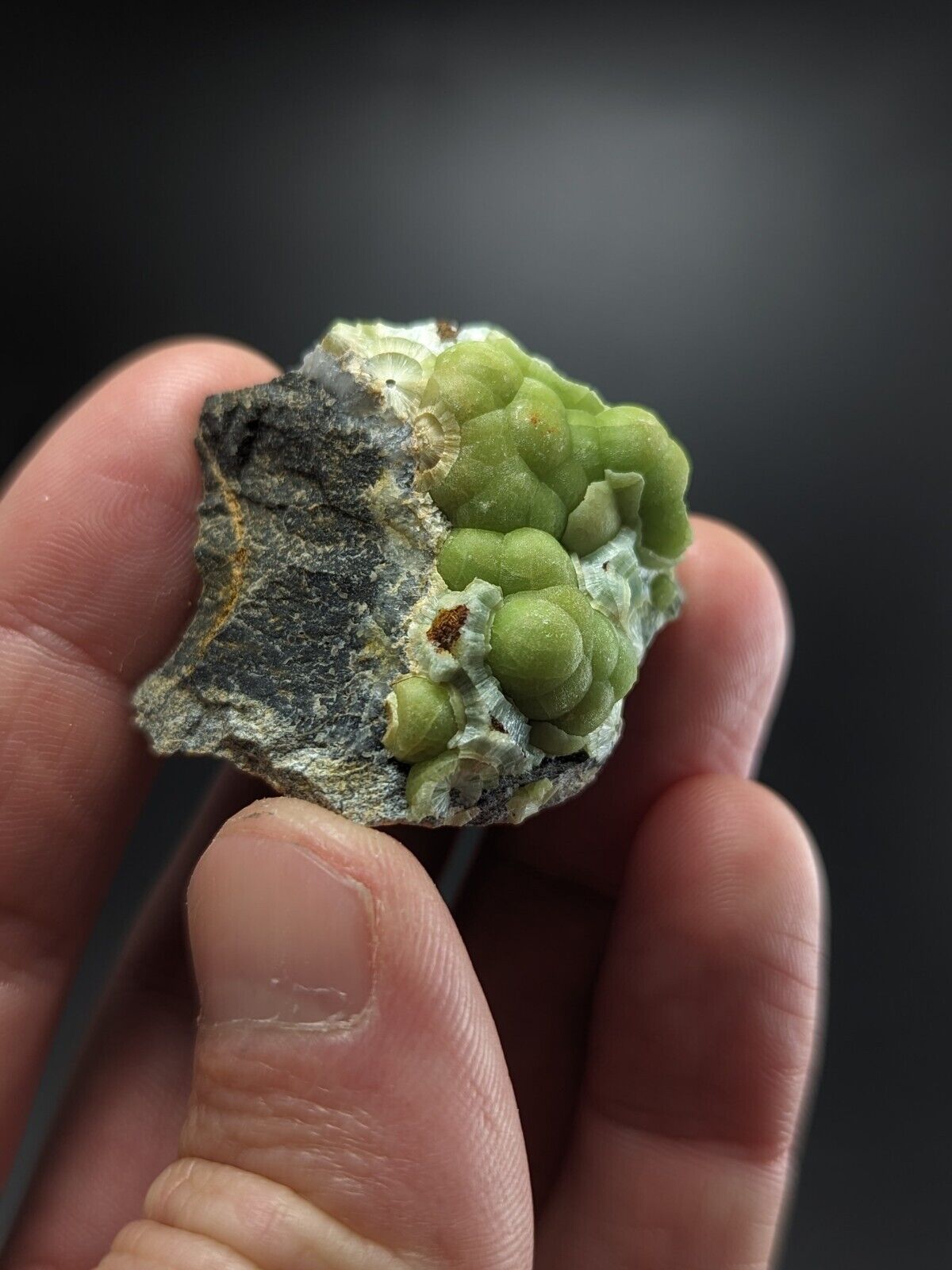Wavellite - Fantastic Old Stock - Mauldin Mountain Arkansas ooak - Collectibles:Rocks Fossils & Minerals:Crystals
