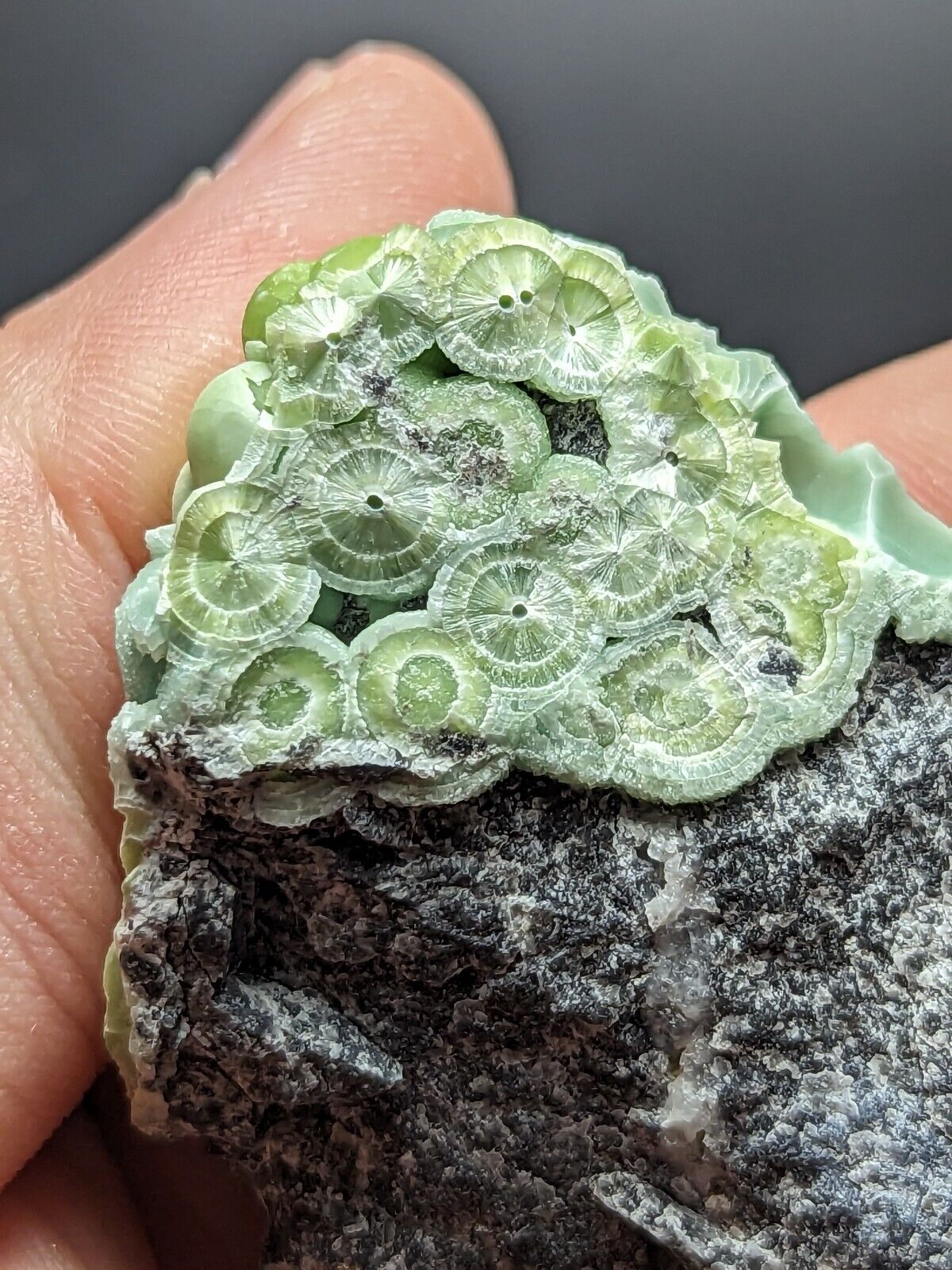 Wavellite - Fantastic Old Stock - Mauldin Mountain Arkansas ooak - Collectibles:Rocks Fossils & Minerals:Crystals