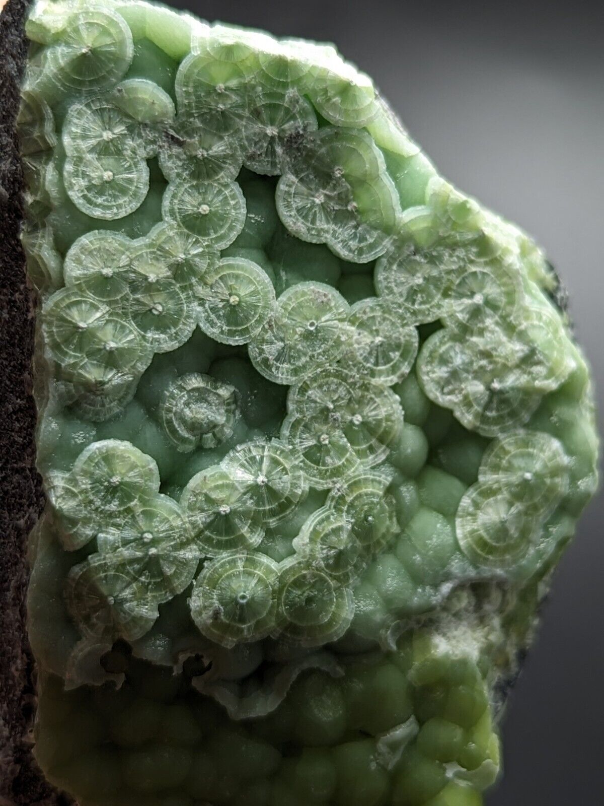 Wavellite - Fantastic Old Stock - Mauldin Mountain Arkansas ooak - Collectibles:Rocks Fossils & Minerals:Crystals