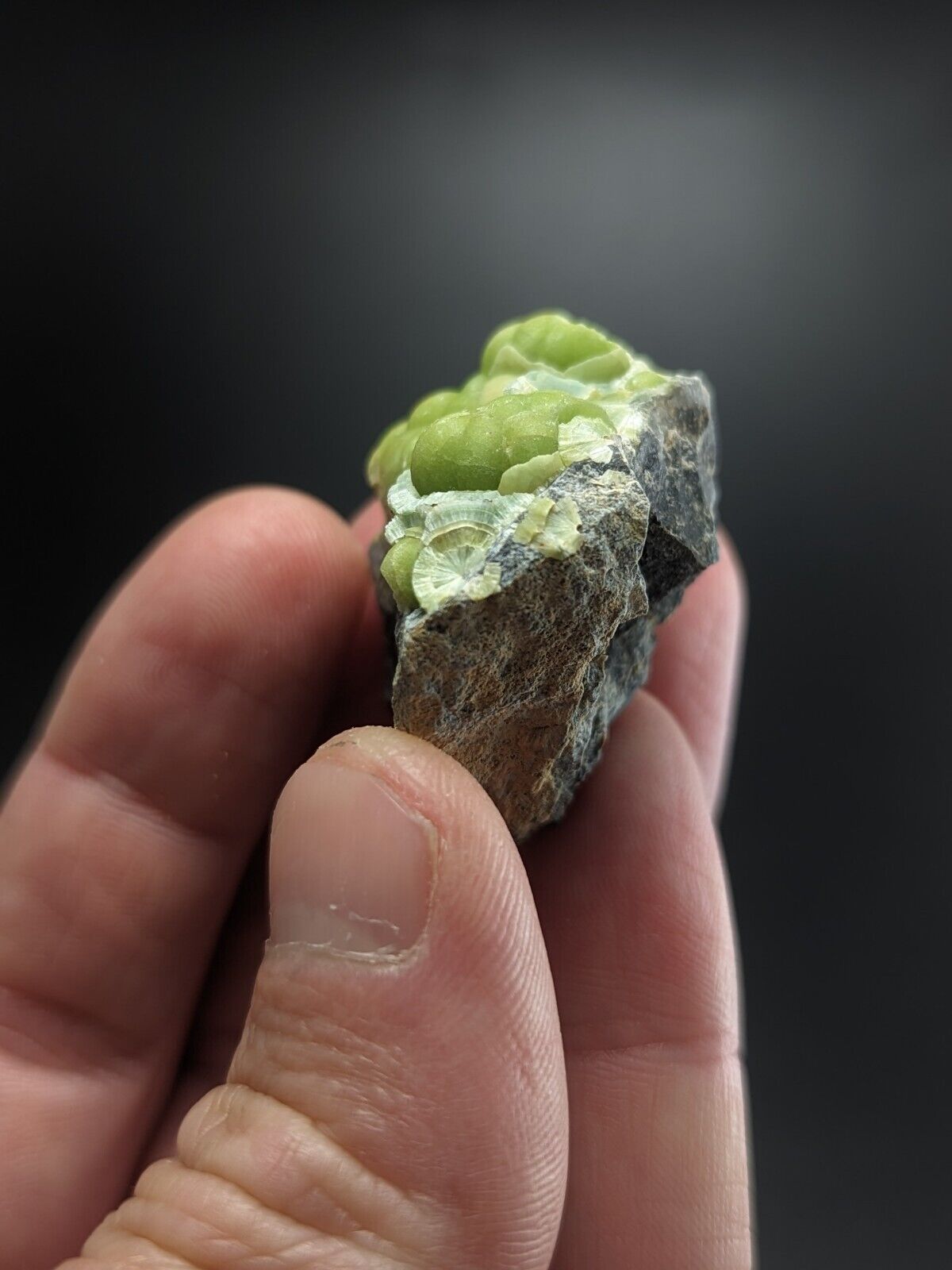 Wavellite - Fantastic Old Stock - Mauldin Mountain Arkansas ooak - Collectibles:Rocks Fossils & Minerals:Crystals