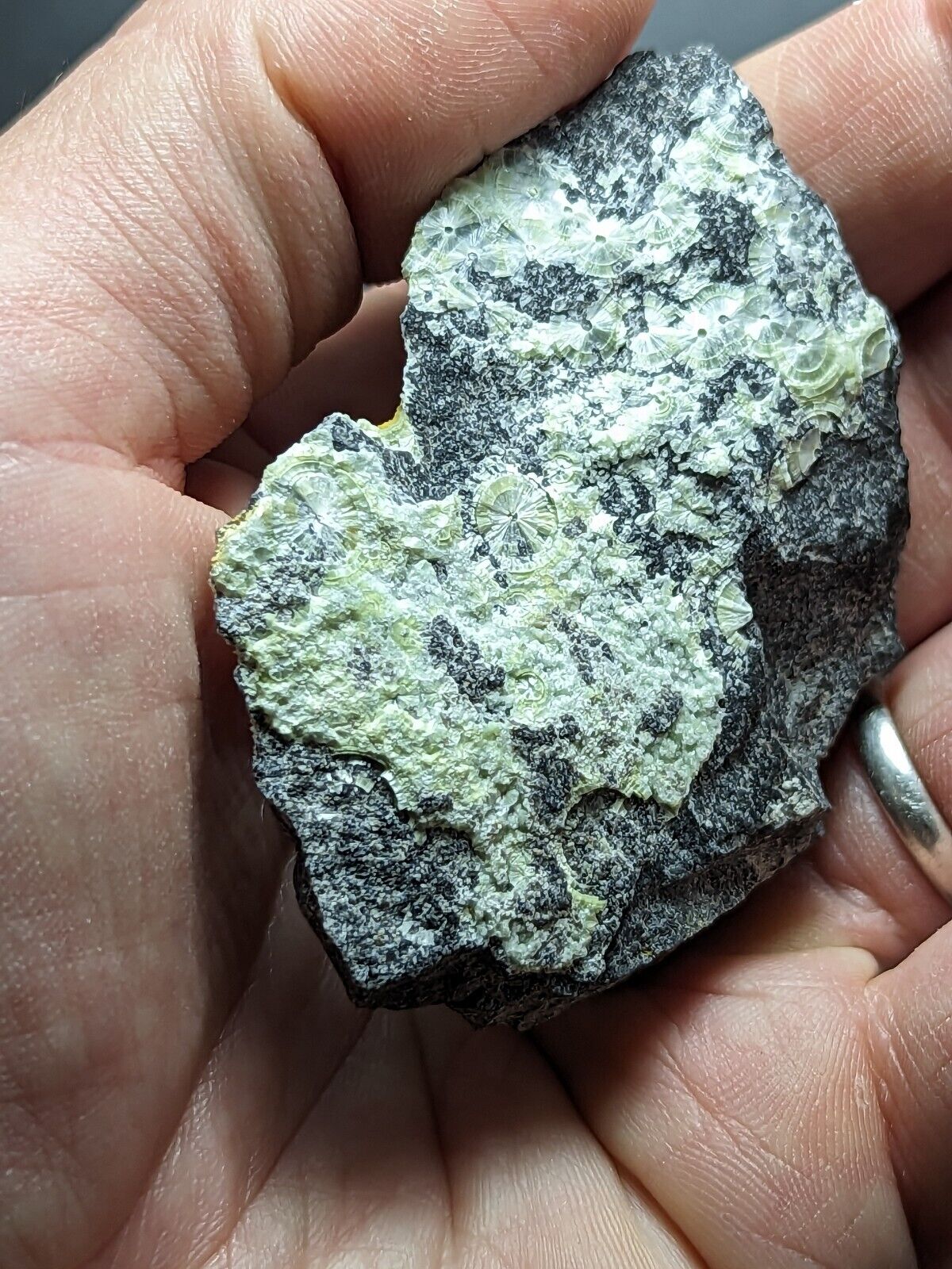 Wavellite - Fantastic Old Stock - Mauldin Mountain Arkansas ooak - Collectibles:Rocks Fossils & Minerals:Crystals