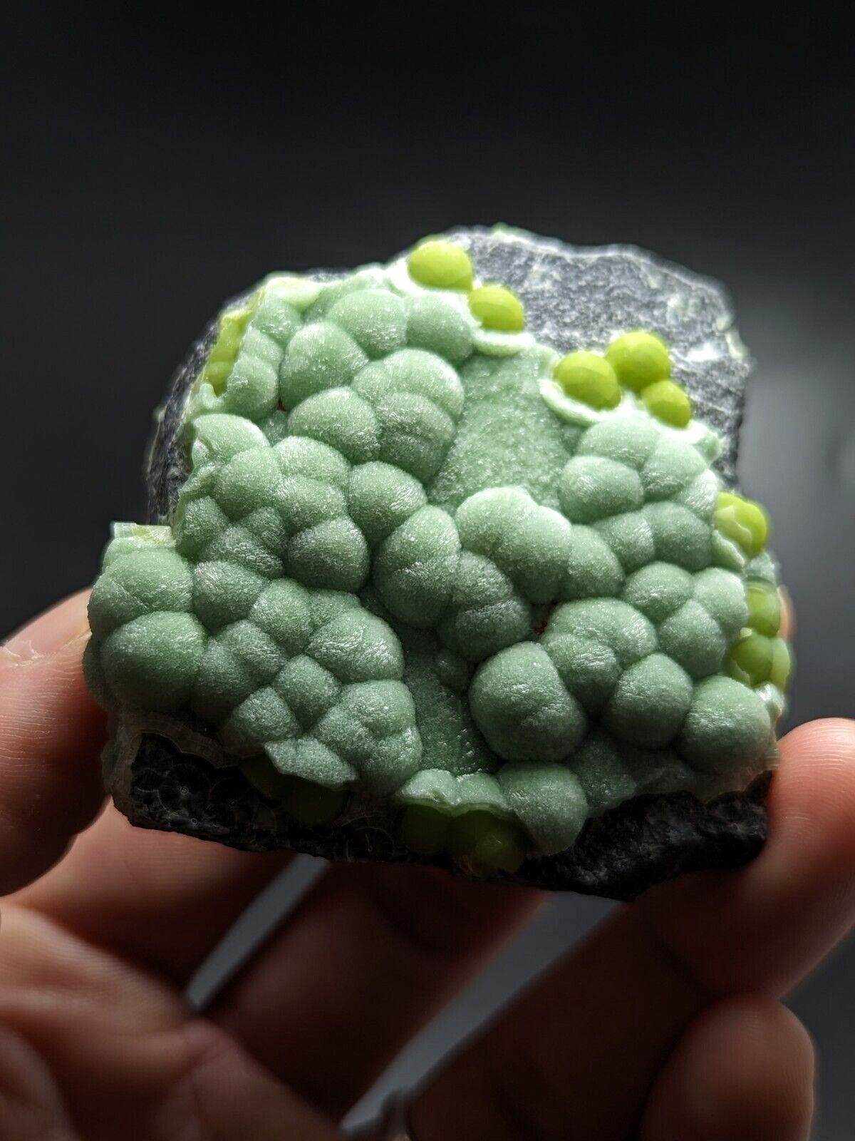 Wavellite - Fantastic Old Stock - Mauldin Mountain Arkansas ooak - Collectibles:Rocks Fossils & Minerals:Crystals