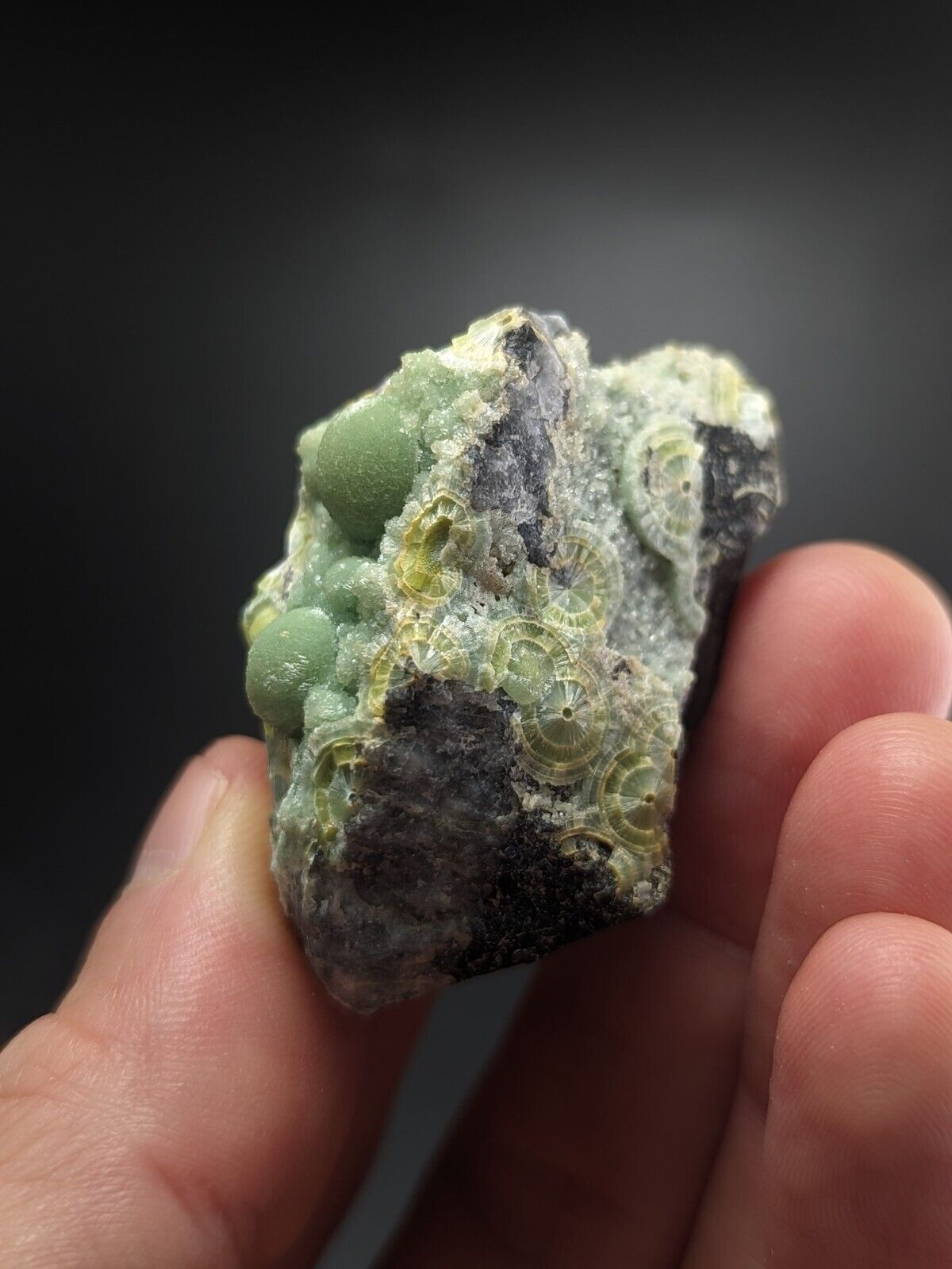 Wavellite - Fantastic Old Stock - Mauldin Mountain Arkansas ooak - Collectibles:Rocks Fossils & Minerals:Crystals