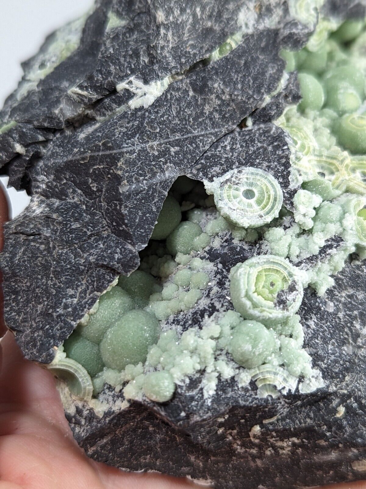 Wavellite - Fantastic Old Stock - Mauldin Mountain Arkansas ooak - Collectibles:Rocks Fossils & Minerals:Crystals