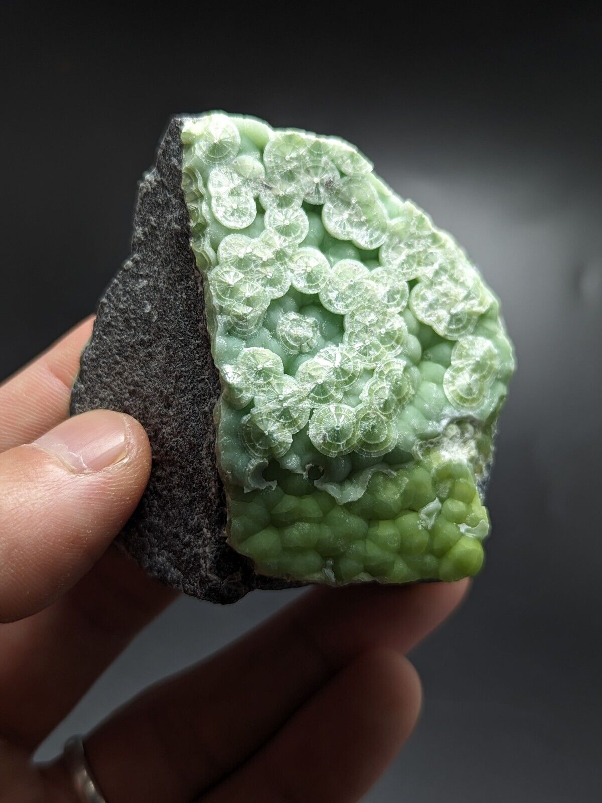 Wavellite - Fantastic Old Stock - Mauldin Mountain Arkansas ooak - Collectibles:Rocks Fossils & Minerals:Crystals