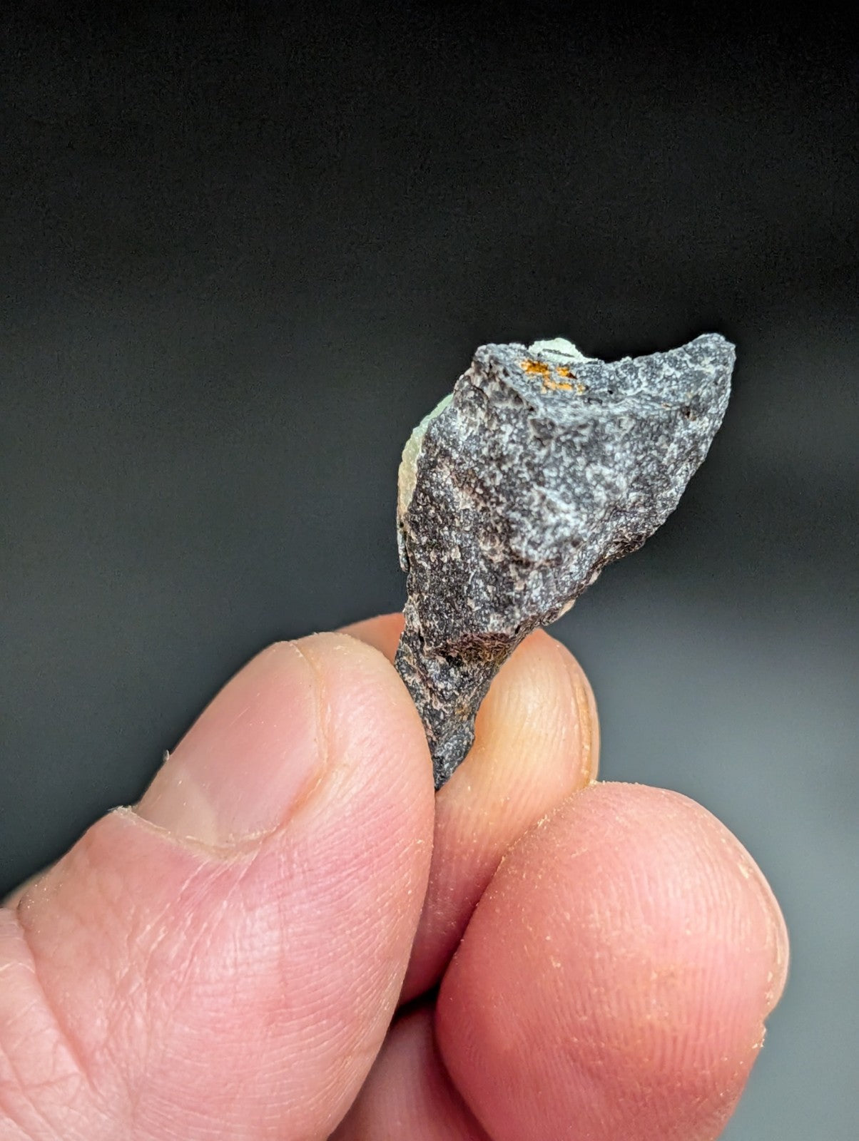 A gray, rough-textured rock with a slightly pointed tip and small orange specks on its surface.