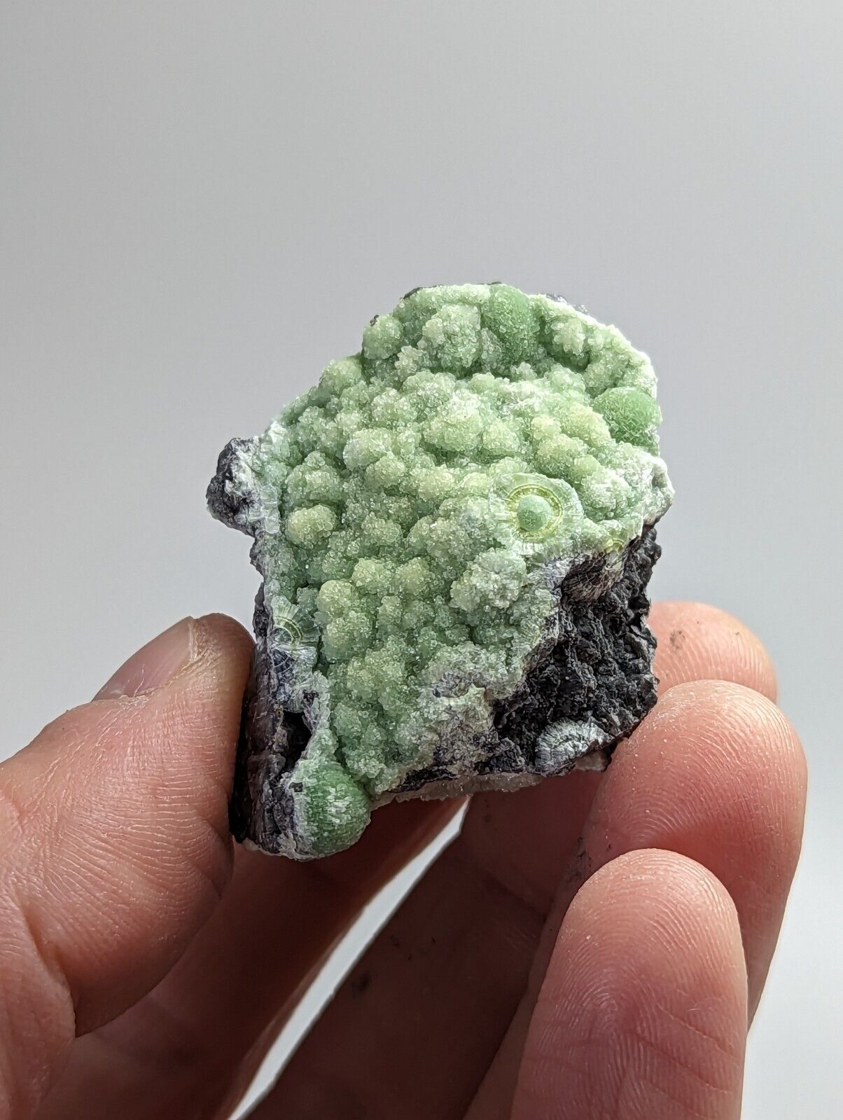 Wavellite - Mauldin Mountain Montgomery County Arkansas - Collectibles:Rocks Fossils & Minerals:Crystals Mineral