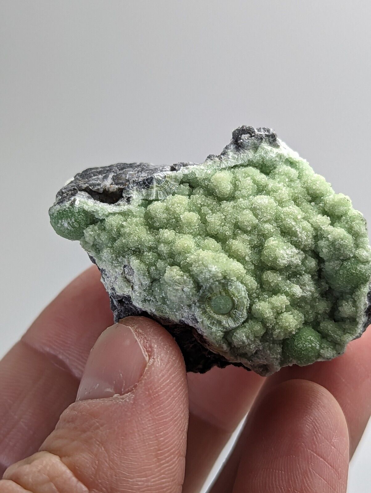 Wavellite - Mauldin Mountain Montgomery County Arkansas - Collectibles:Rocks Fossils & Minerals:Crystals Mineral