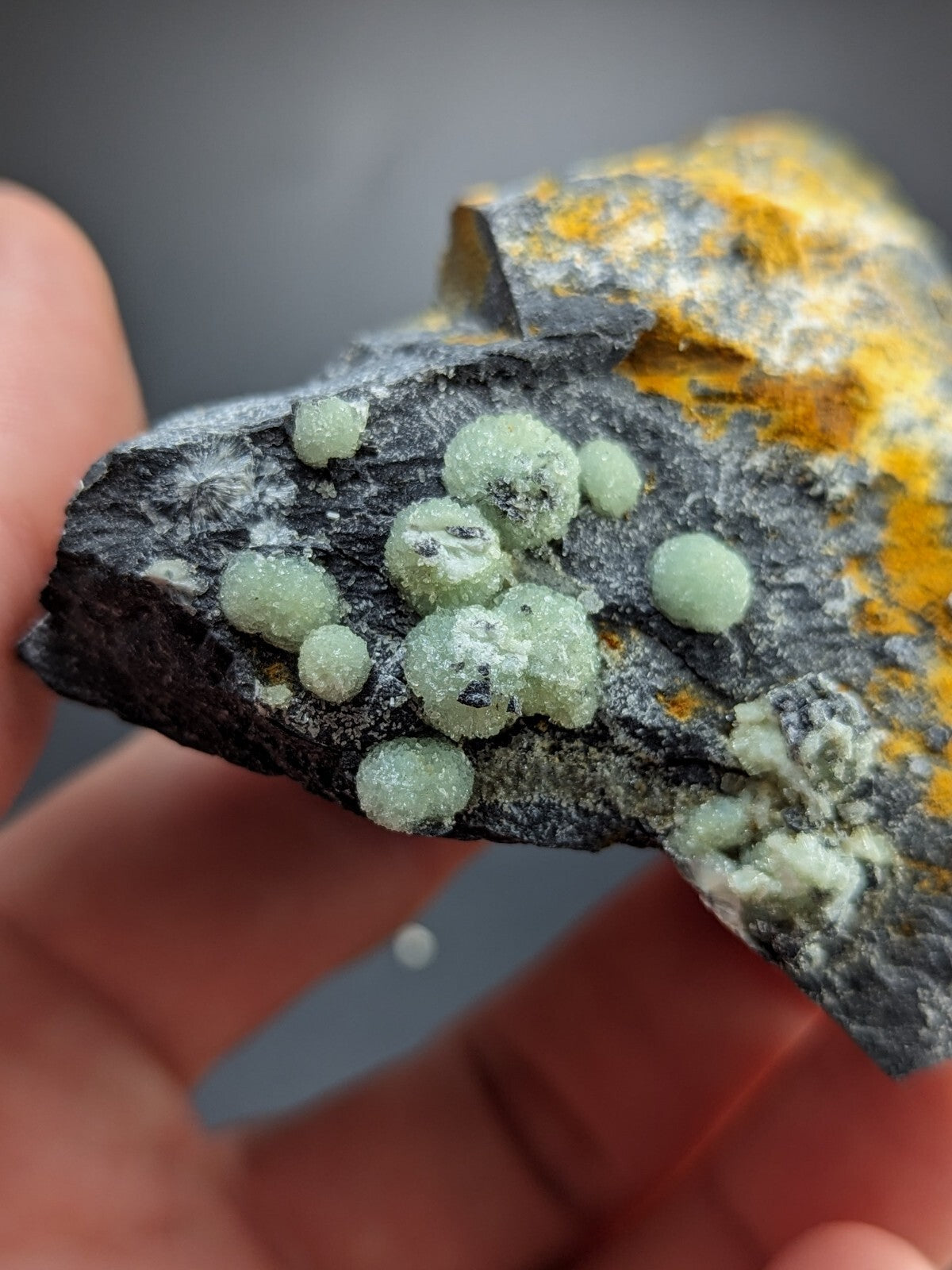 A dark gray rock with vibrant yellow patches and clusters of translucent, light green spherical crystals.
