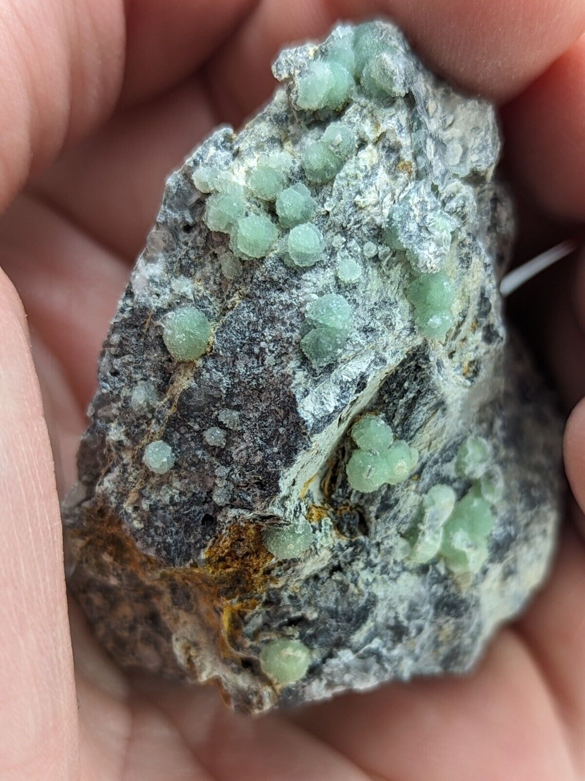 Wavellite -Old Stock - Mauldin Mountain Arkansas Slightly UV Reactive - Collectibles:Rocks Fossils & Minerals:Crystals