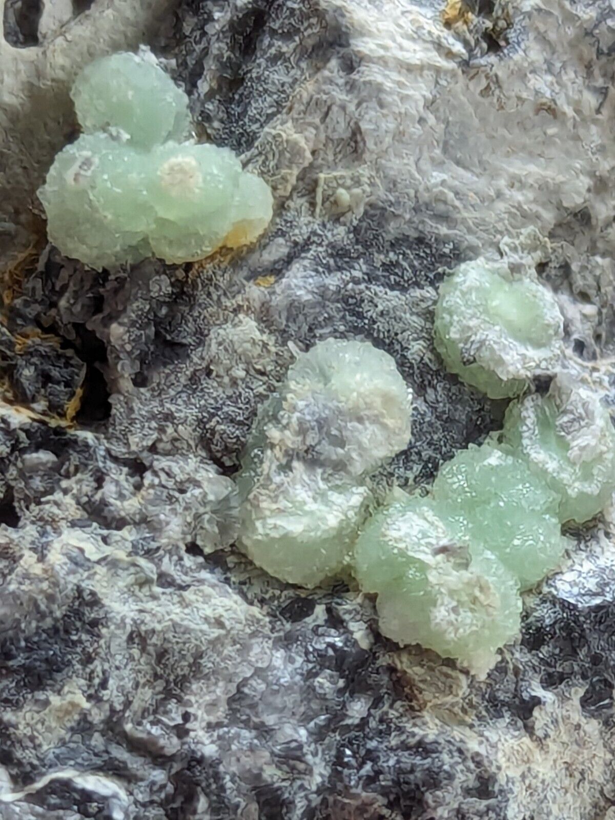 Wavellite -Old Stock - Mauldin Mountain Arkansas Slightly UV Reactive - Collectibles:Rocks Fossils & Minerals:Crystals