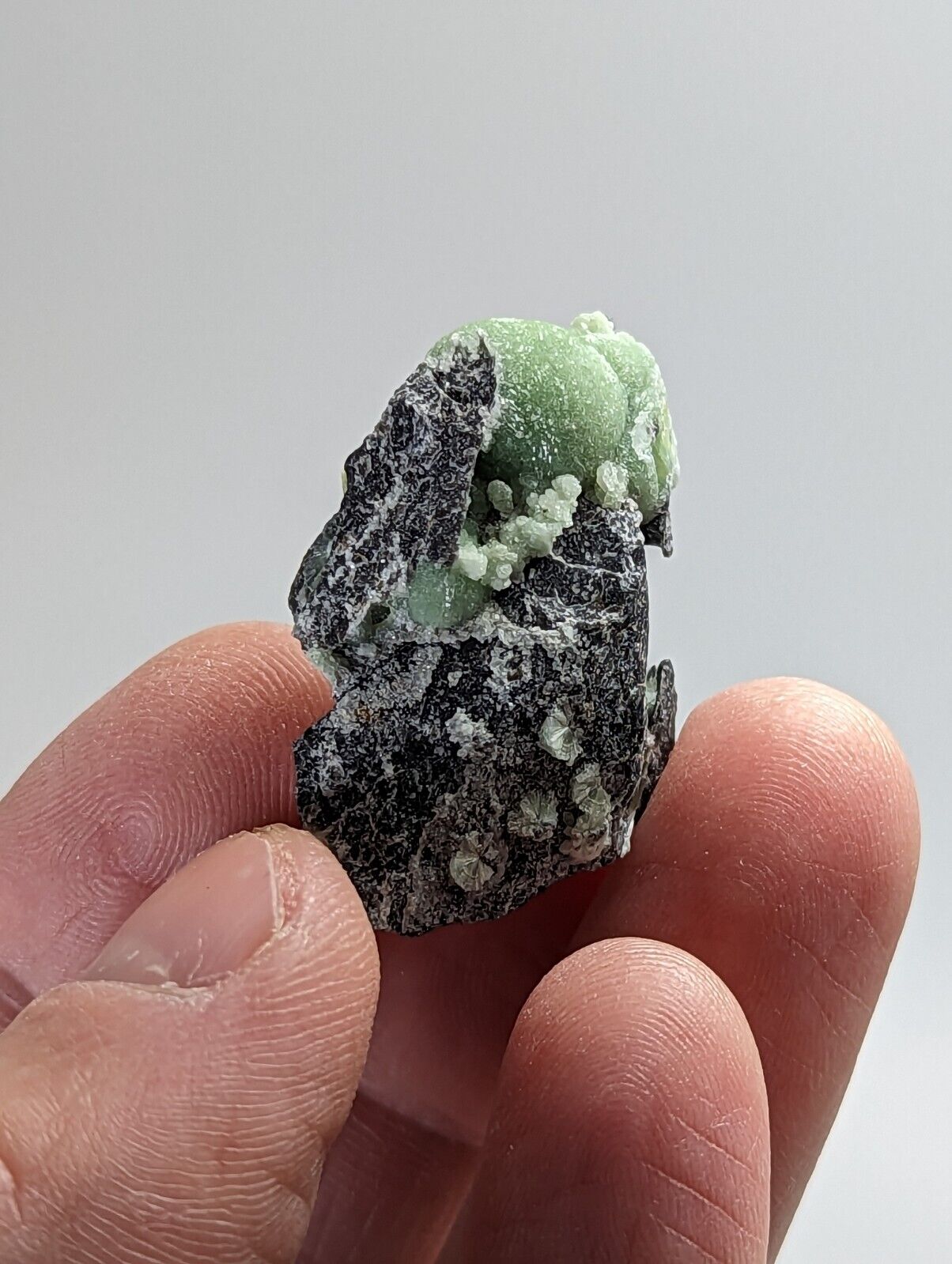 Wavellite - Old Stock - Mauldin Mountain Montgomery County Arkansas - Collectibles:Rocks Fossils & Minerals:Crystals