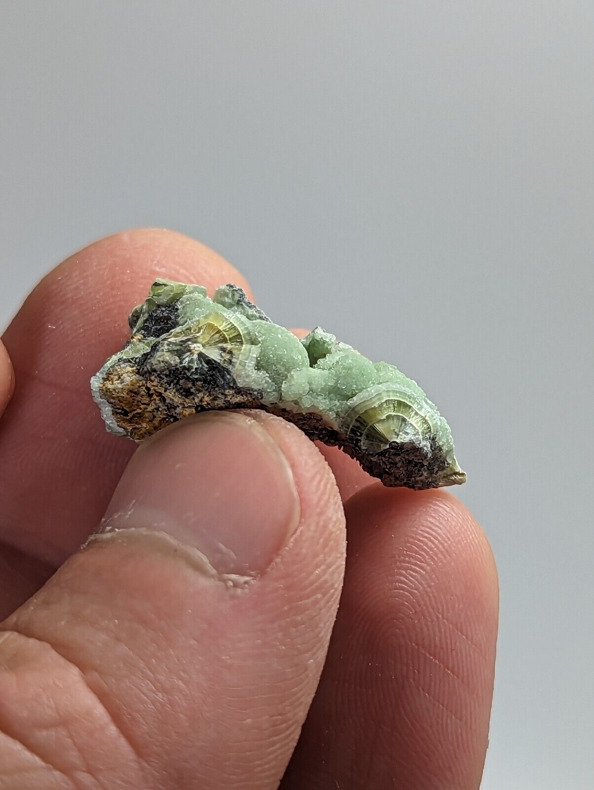 Wavellite - Old Stock - Mauldin Mountain Montgomery County Arkansas - Collectibles:Rocks Fossils & Minerals:Crystals