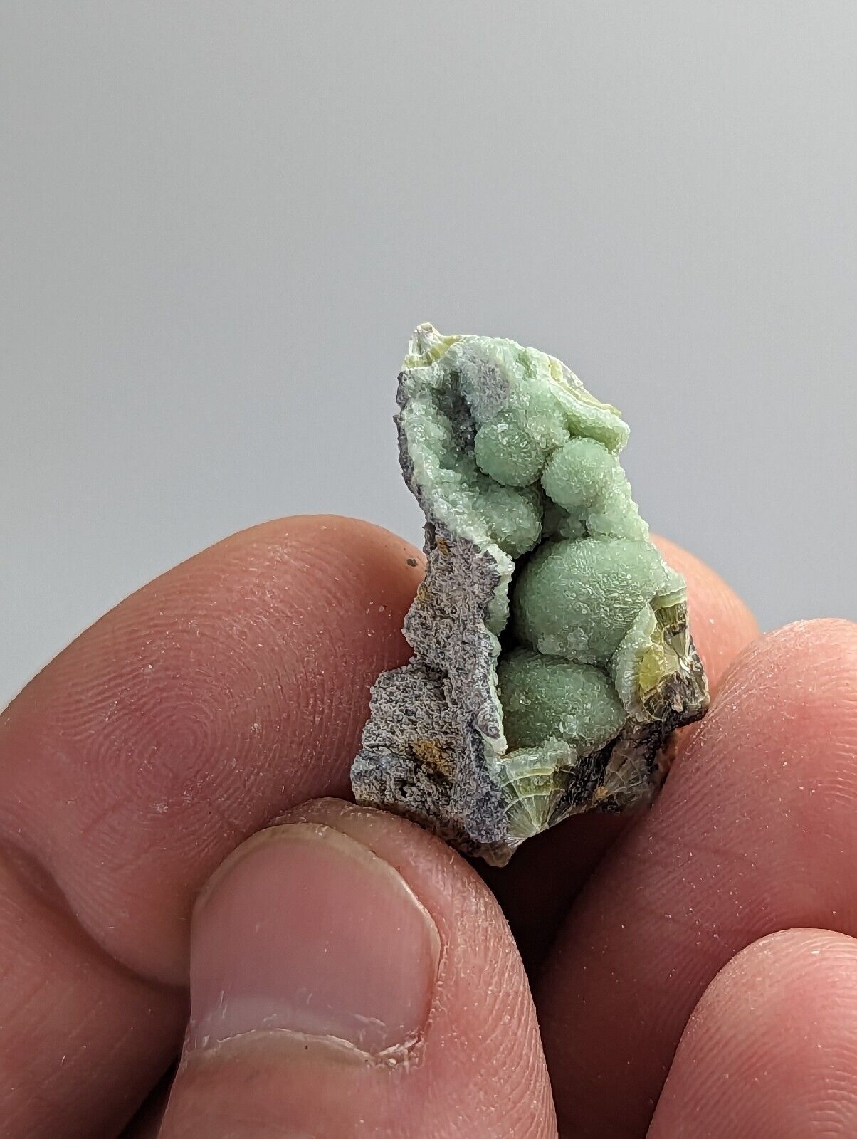 Wavellite - Old Stock - Mauldin Mountain Montgomery County Arkansas - Collectibles:Rocks Fossils & Minerals:Crystals