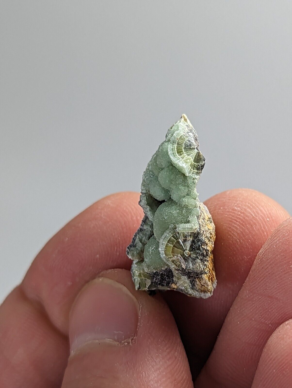 Wavellite - Old Stock - Mauldin Mountain Montgomery County Arkansas - Collectibles:Rocks Fossils & Minerals:Crystals