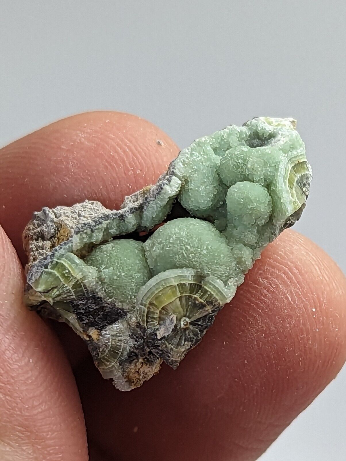 Wavellite - Old Stock - Mauldin Mountain Montgomery County Arkansas - Collectibles:Rocks Fossils & Minerals:Crystals
