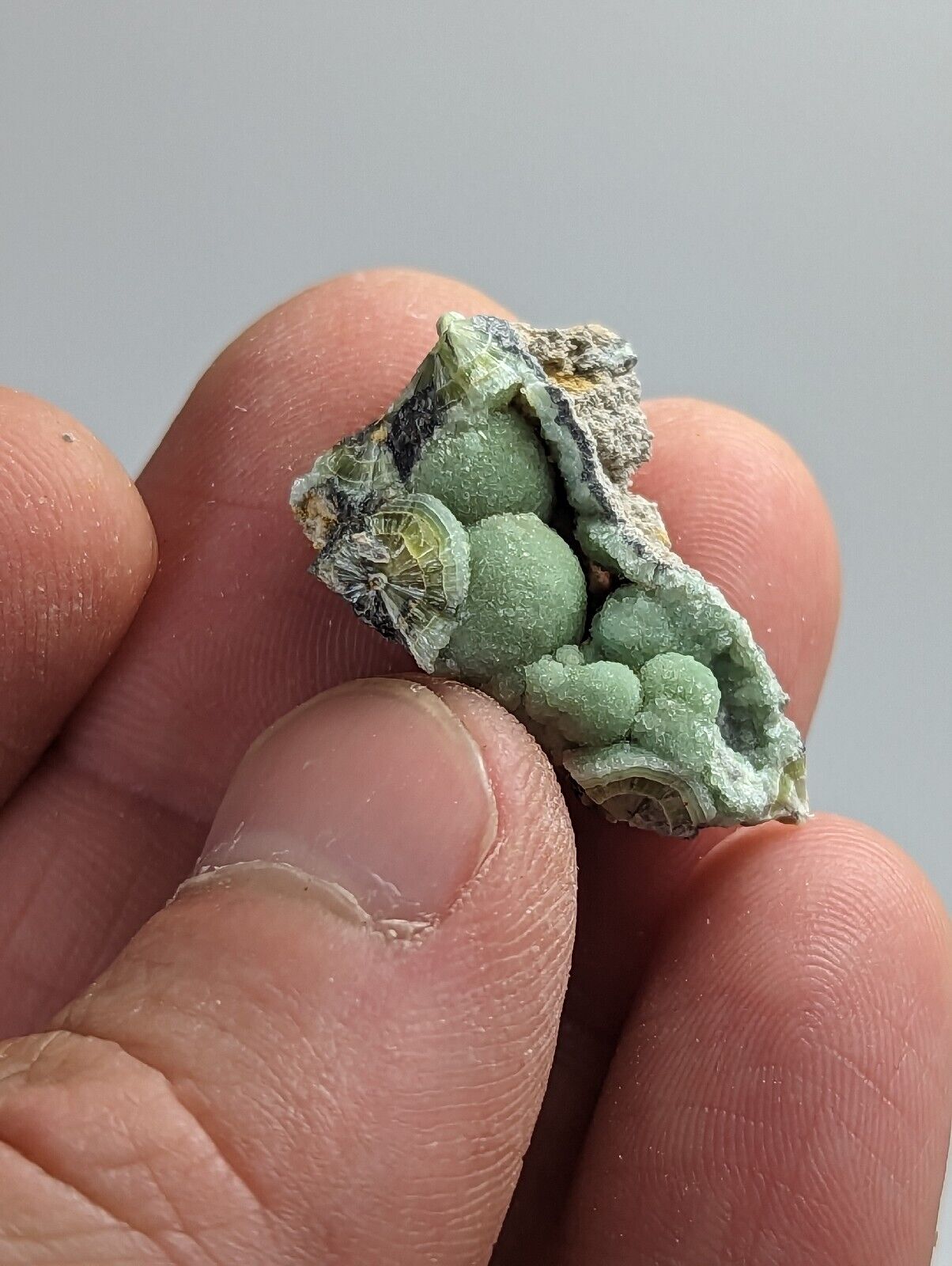 Wavellite - Old Stock - Mauldin Mountain Montgomery County Arkansas - Collectibles:Rocks Fossils & Minerals:Crystals