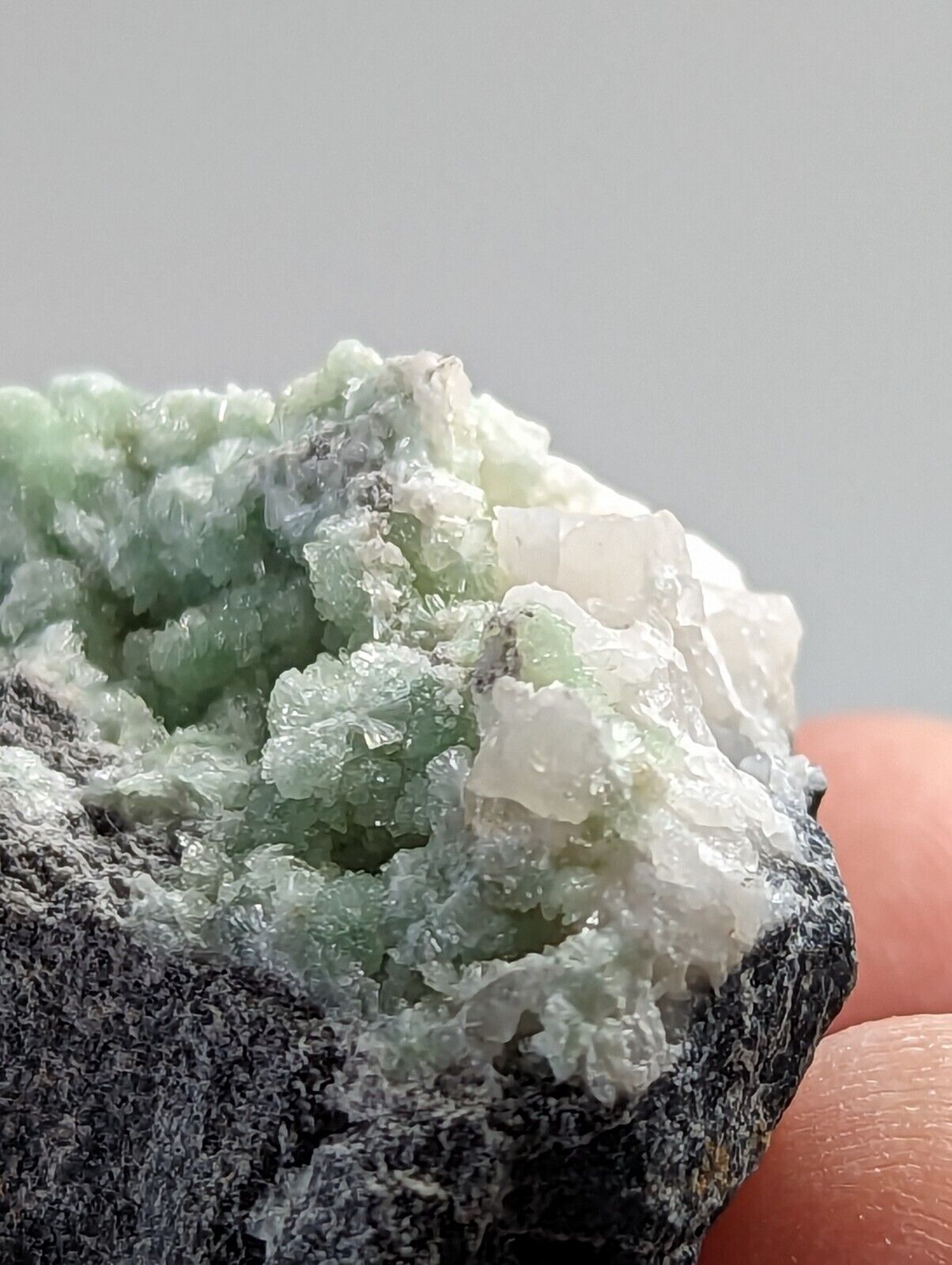 Wavellite on Quartz - Fantastic 1990s Old Stock - Mauldin Mountain Arkansas - Collectibles:Rocks Fossils &