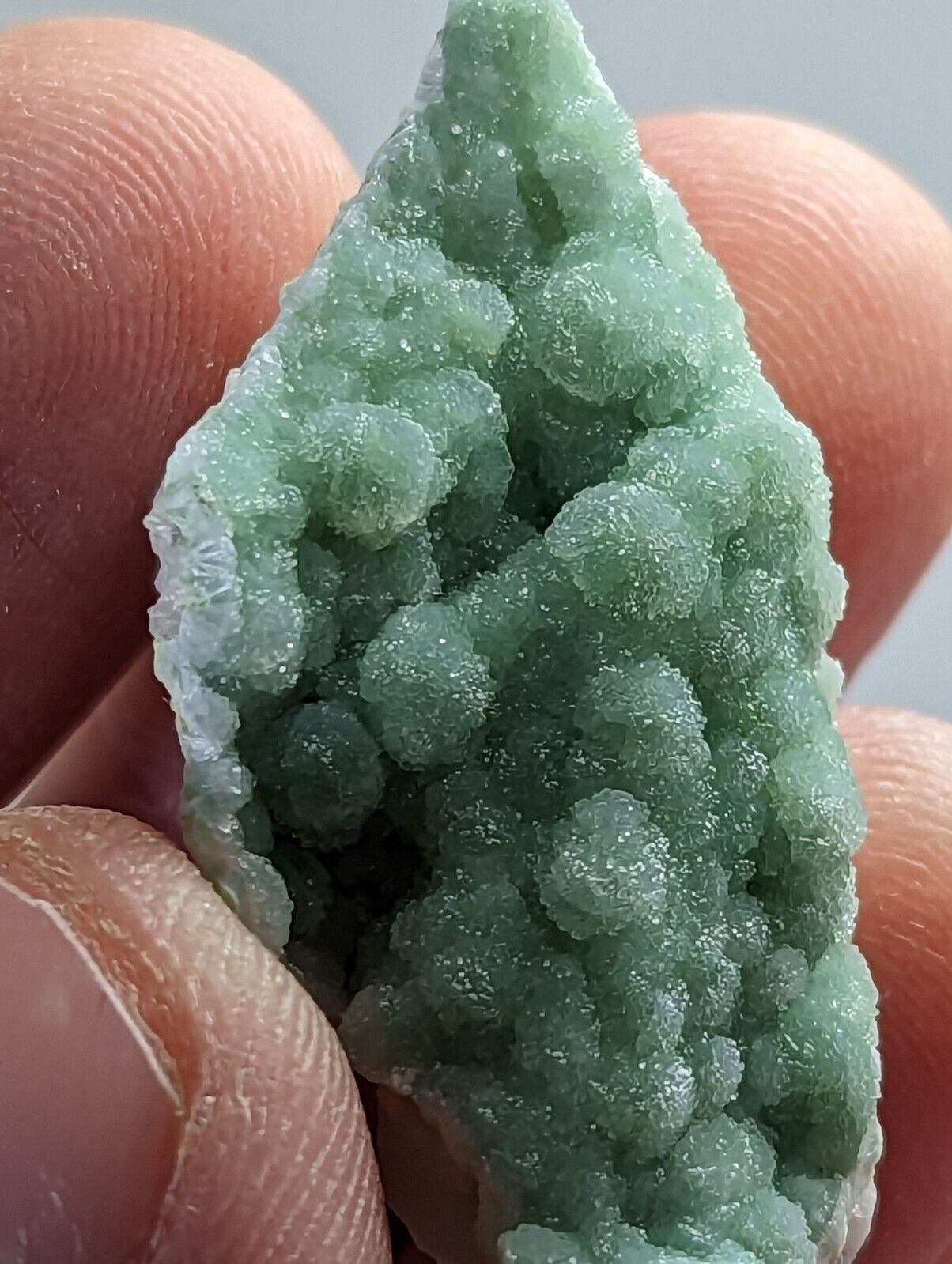 Wavellite on Quartz - Fantastic 1990s Old Stock - Mauldin Mountain Arkansas - Collectibles:Rocks Fossils &