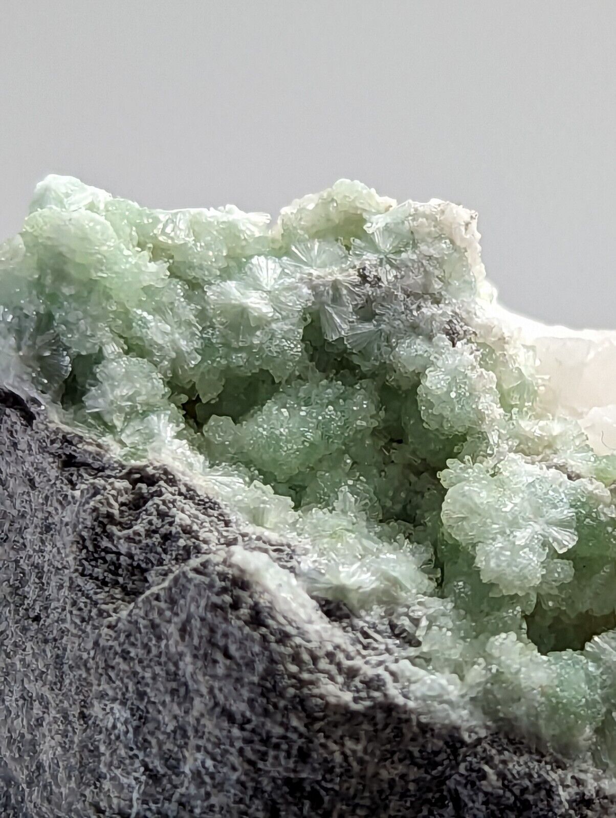 Wavellite on Quartz - Fantastic 1990s Old Stock - Mauldin Mountain Arkansas - Collectibles:Rocks Fossils &