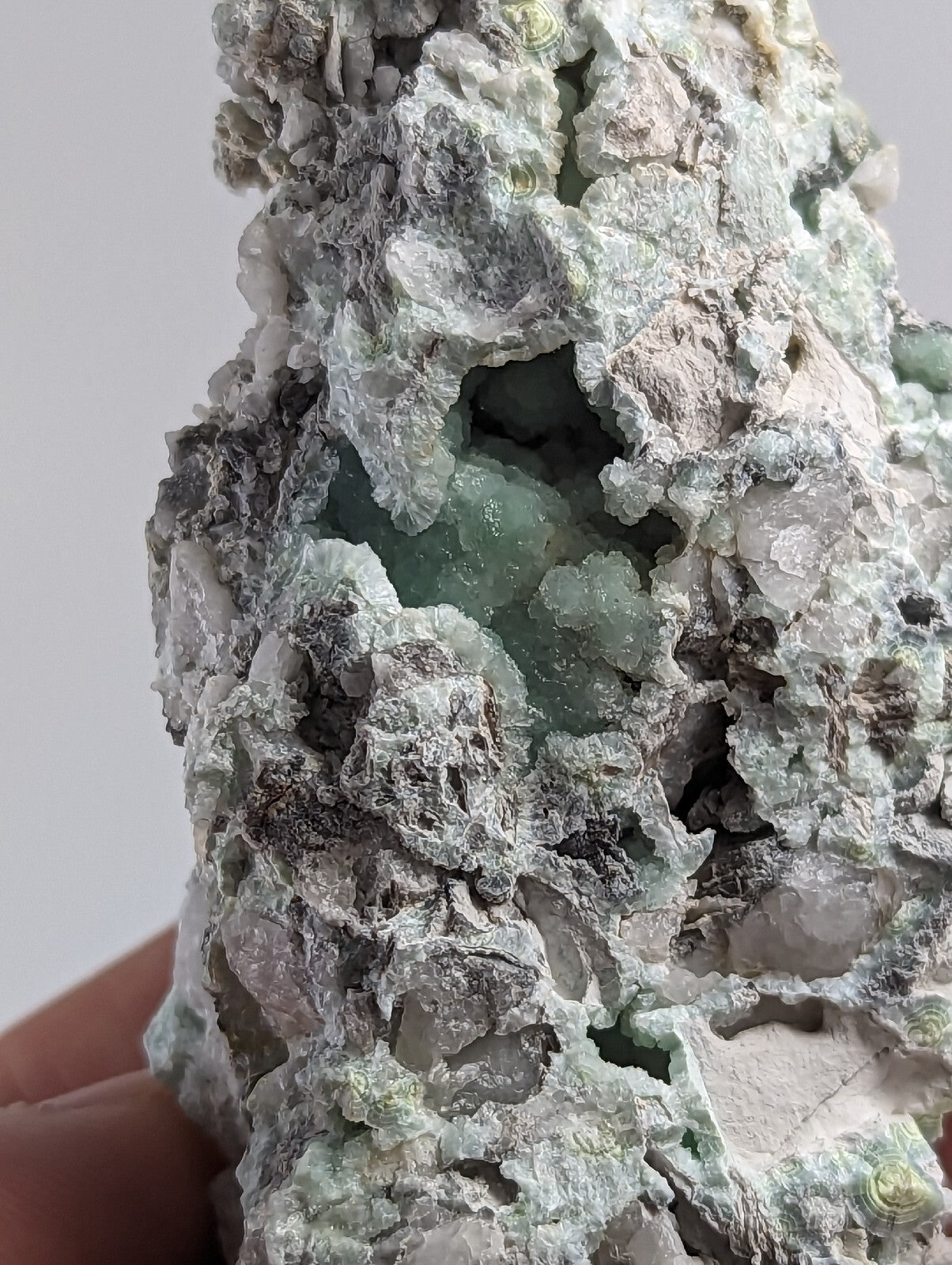 A textured, pale green and gray mineral specimen with embedded shell fragments.