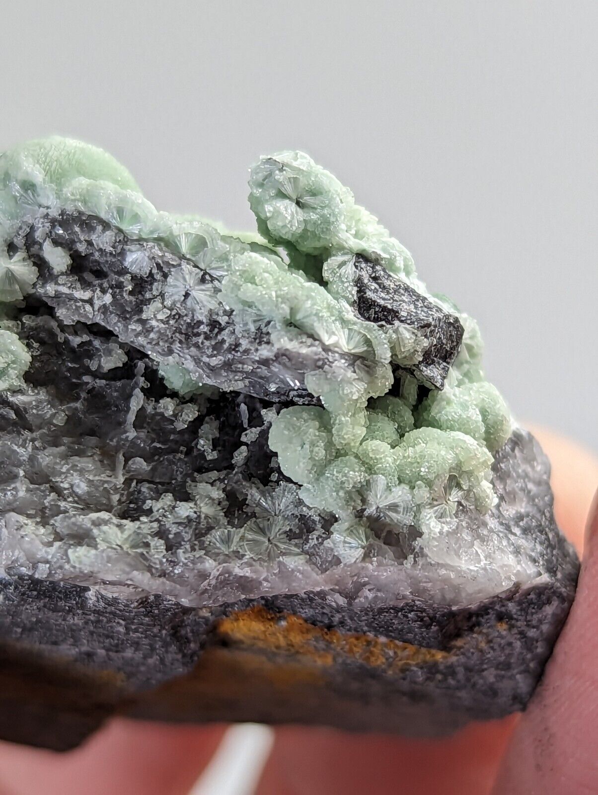 Wavellite on Quartz - Mauldin Mountain Montgomery County Arkansas - Collectibles:Rocks Fossils & Minerals:Crystals