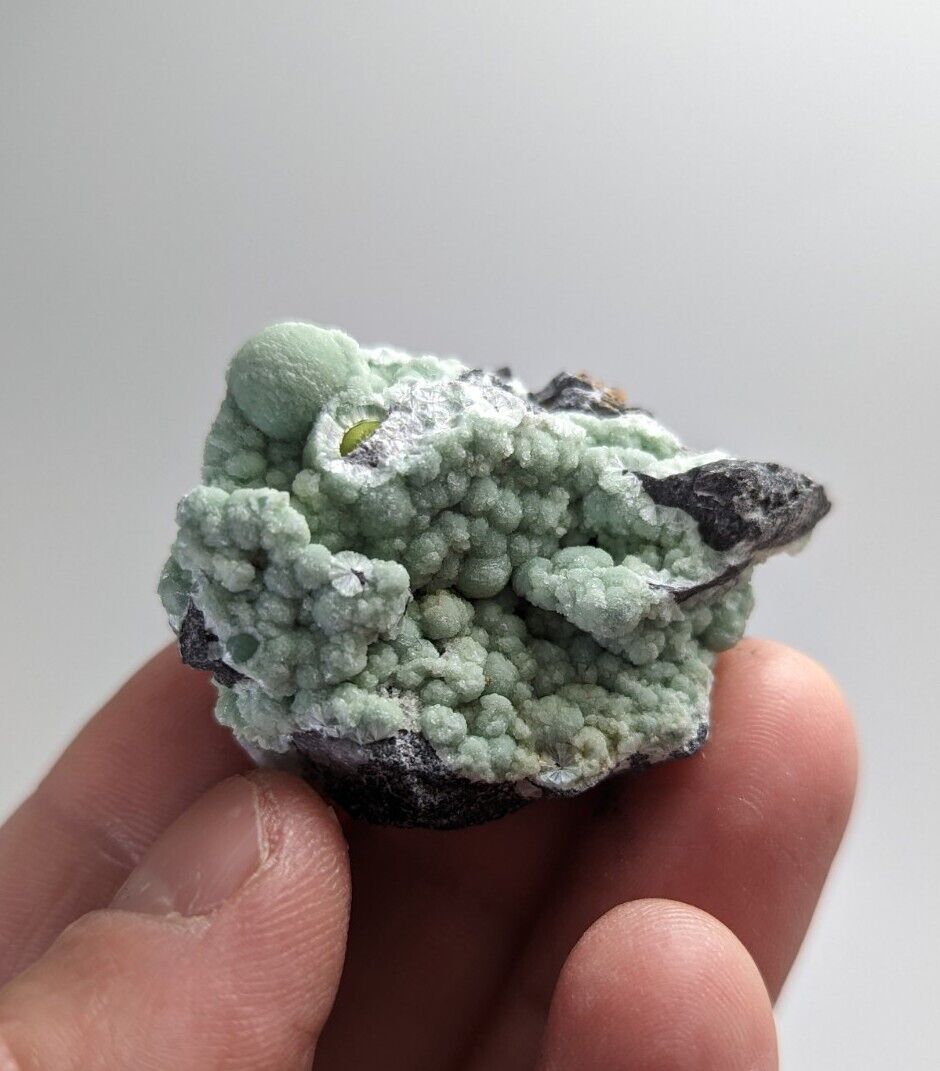 Wavellite on Quartz - Mauldin Mountain Montgomery County Arkansas - Collectibles:Rocks Fossils & Minerals:Crystals
