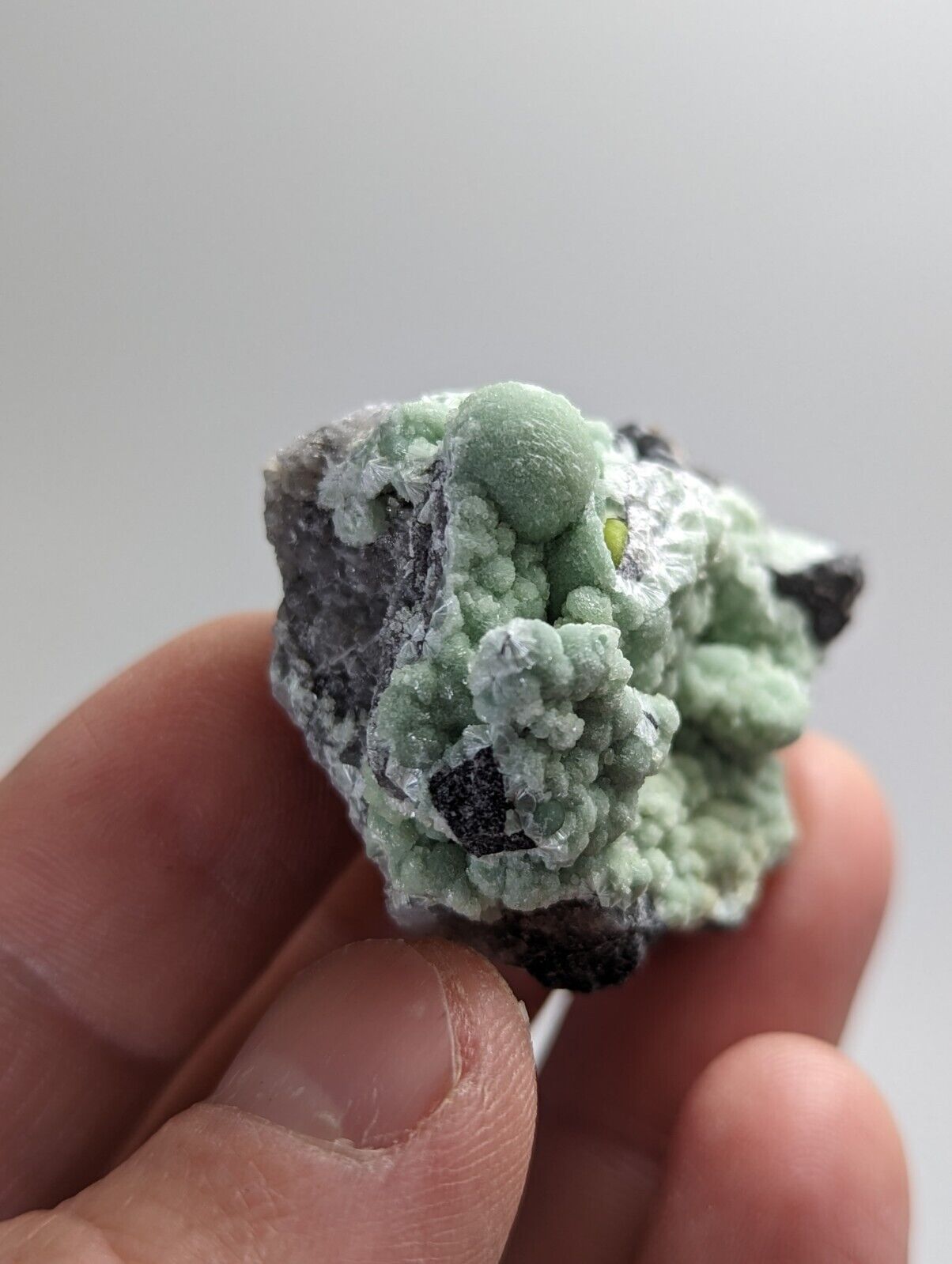 Wavellite on Quartz - Mauldin Mountain Montgomery County Arkansas - Collectibles:Rocks Fossils & Minerals:Crystals