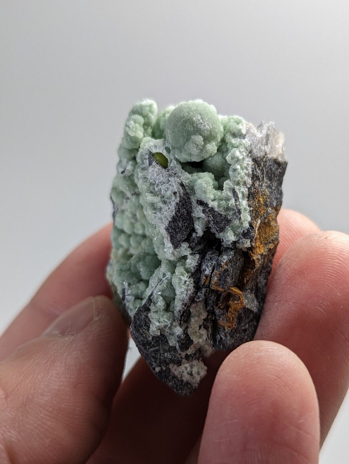 Wavellite on Quartz - Mauldin Mountain Montgomery County Arkansas - Collectibles:Rocks Fossils & Minerals:Crystals