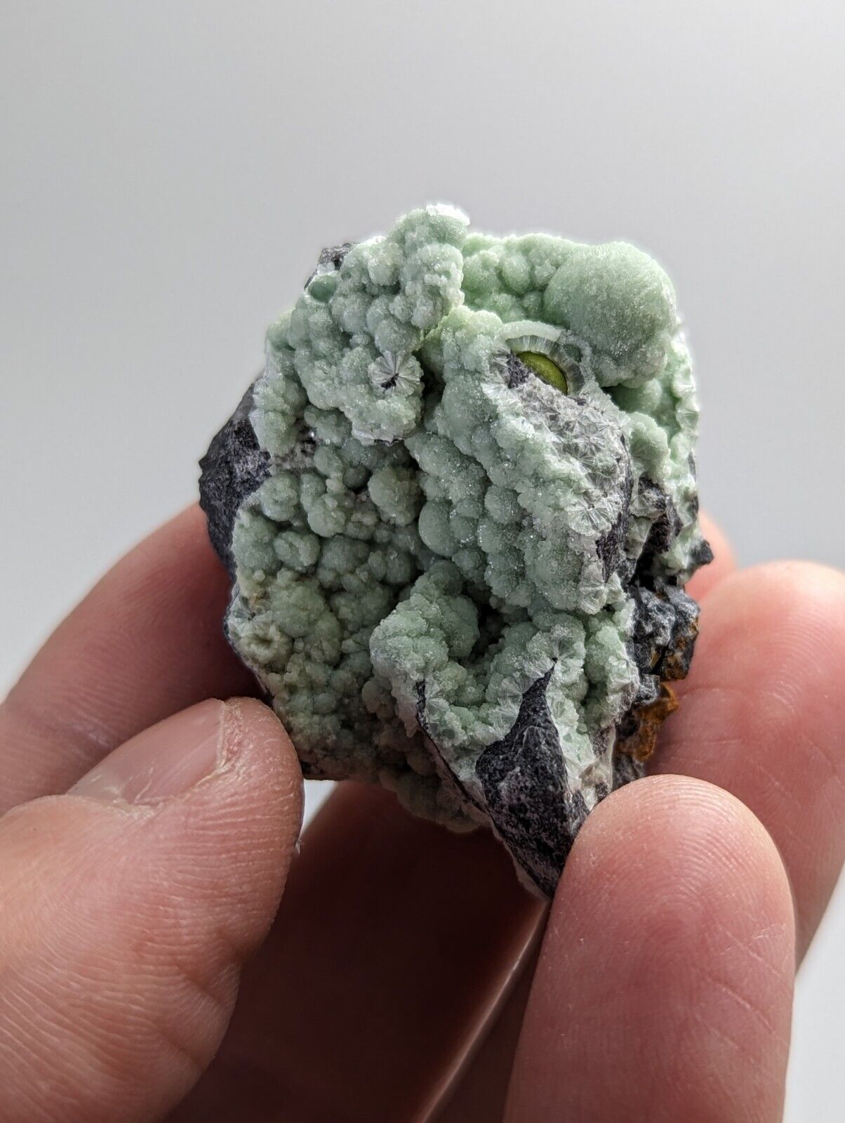 Wavellite on Quartz - Mauldin Mountain Montgomery County Arkansas - Collectibles:Rocks Fossils & Minerals:Crystals