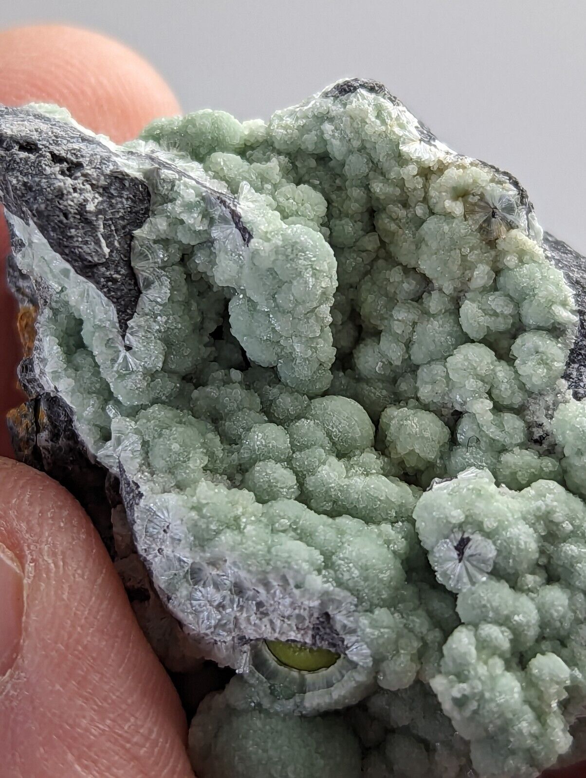 Wavellite on Quartz - Mauldin Mountain Montgomery County Arkansas - Collectibles:Rocks Fossils & Minerals:Crystals