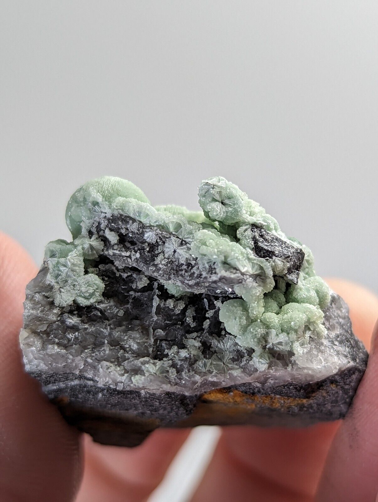 Wavellite on Quartz - Mauldin Mountain Montgomery County Arkansas - Collectibles:Rocks Fossils & Minerals:Crystals