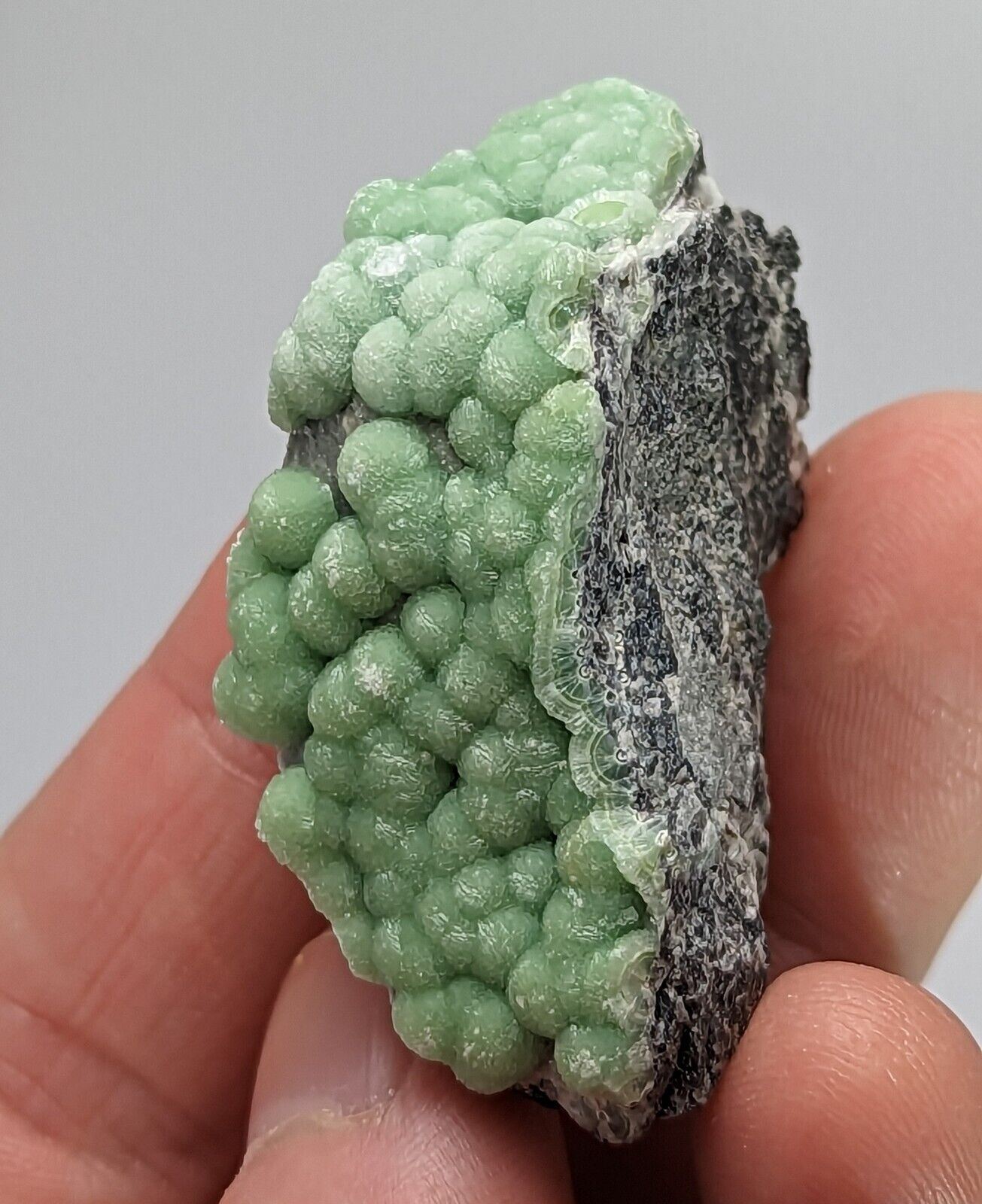 Wavellite Specimen - Rare 1990s Old Stock - Mauldin Mountain Arkansas - Collectibles:Rocks Fossils & Minerals:Crystals